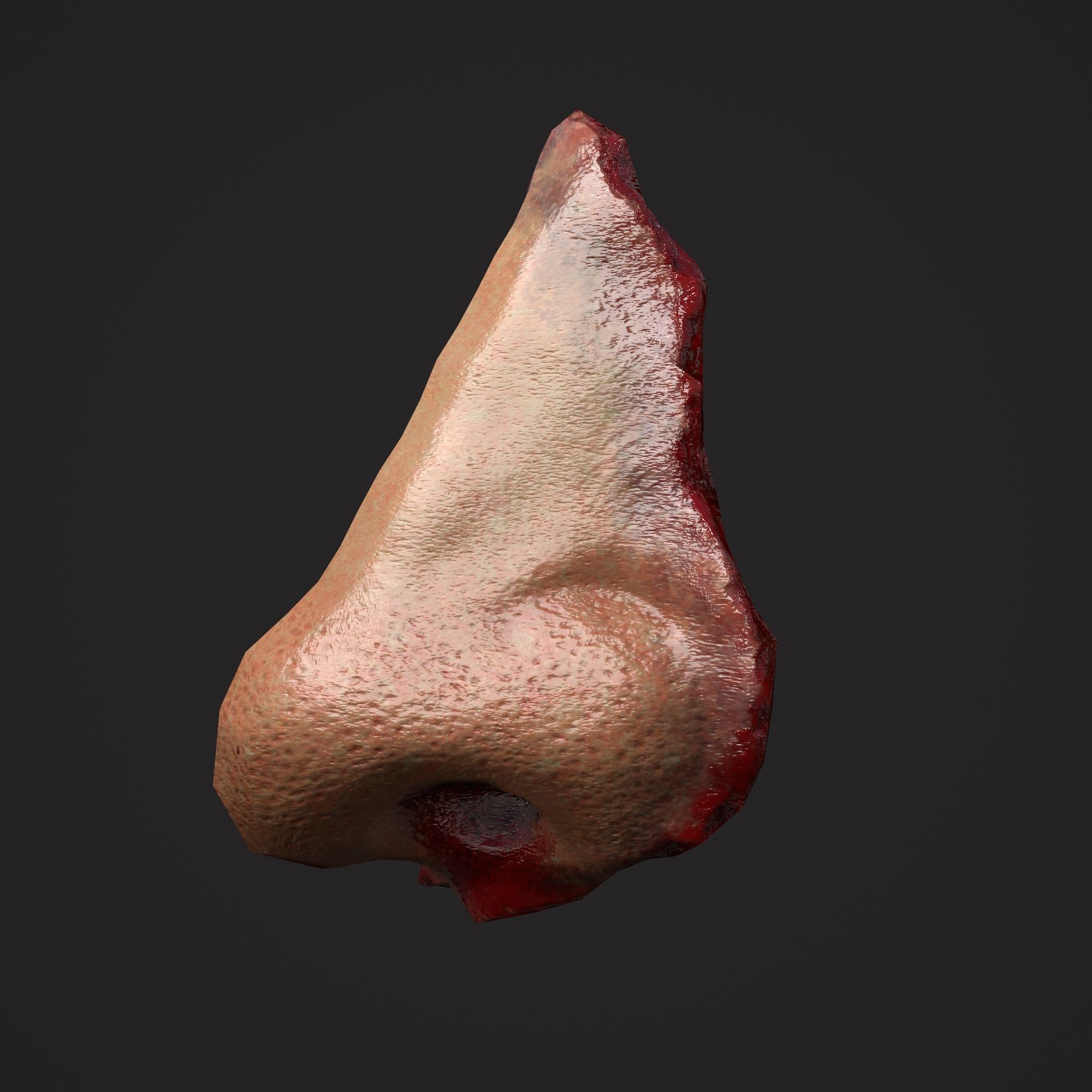Severed Fingers Toes Ears and Nose 3D Model Collection_69
