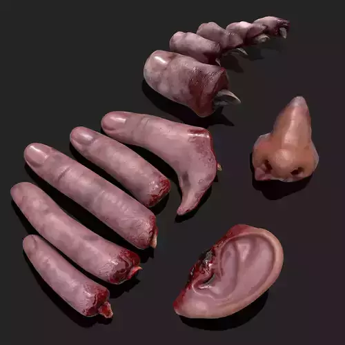Severed Fingers Toes Ears and Nose 3D Model Collection