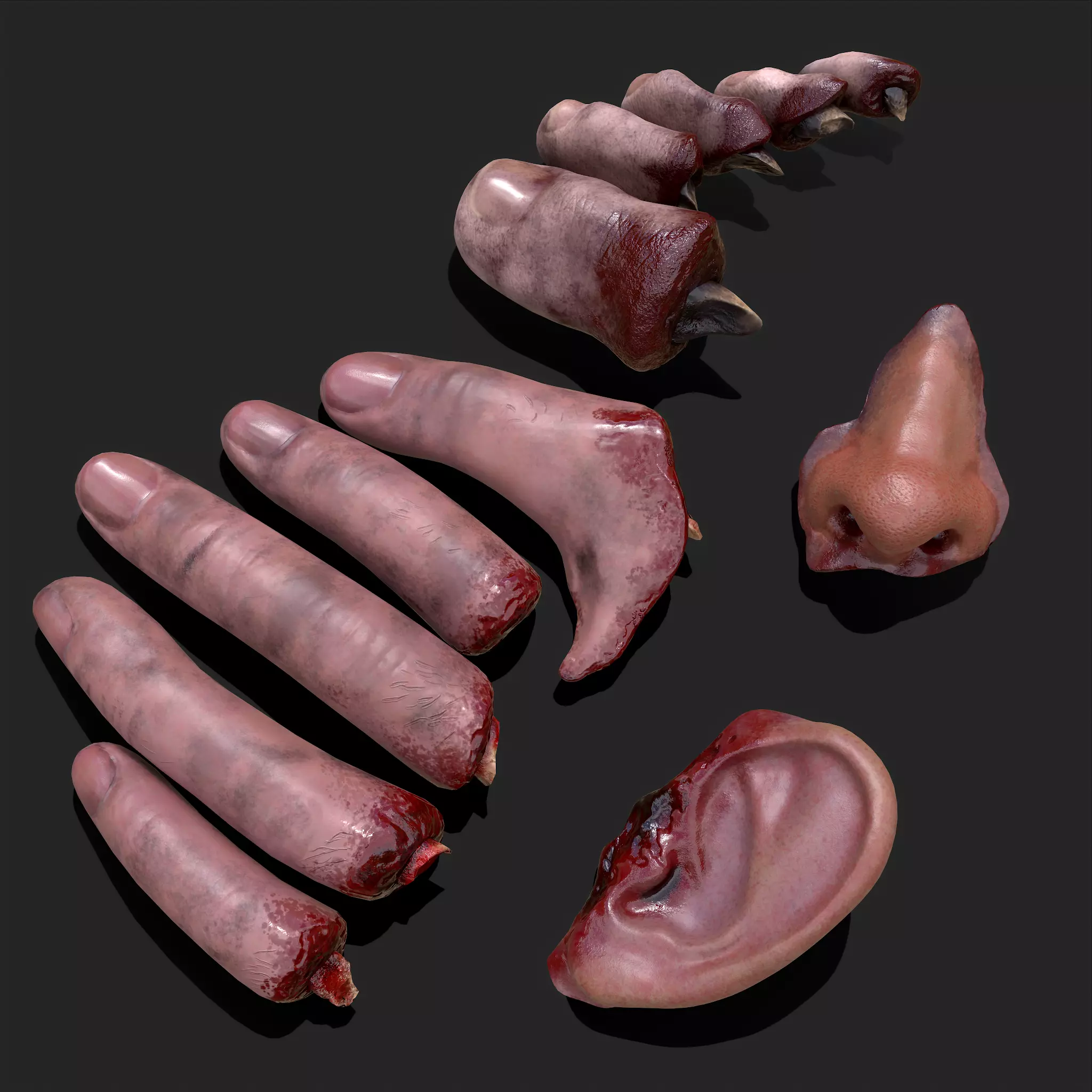 Severed Fingers Toes Ears and Nose 3D Model Collection_0