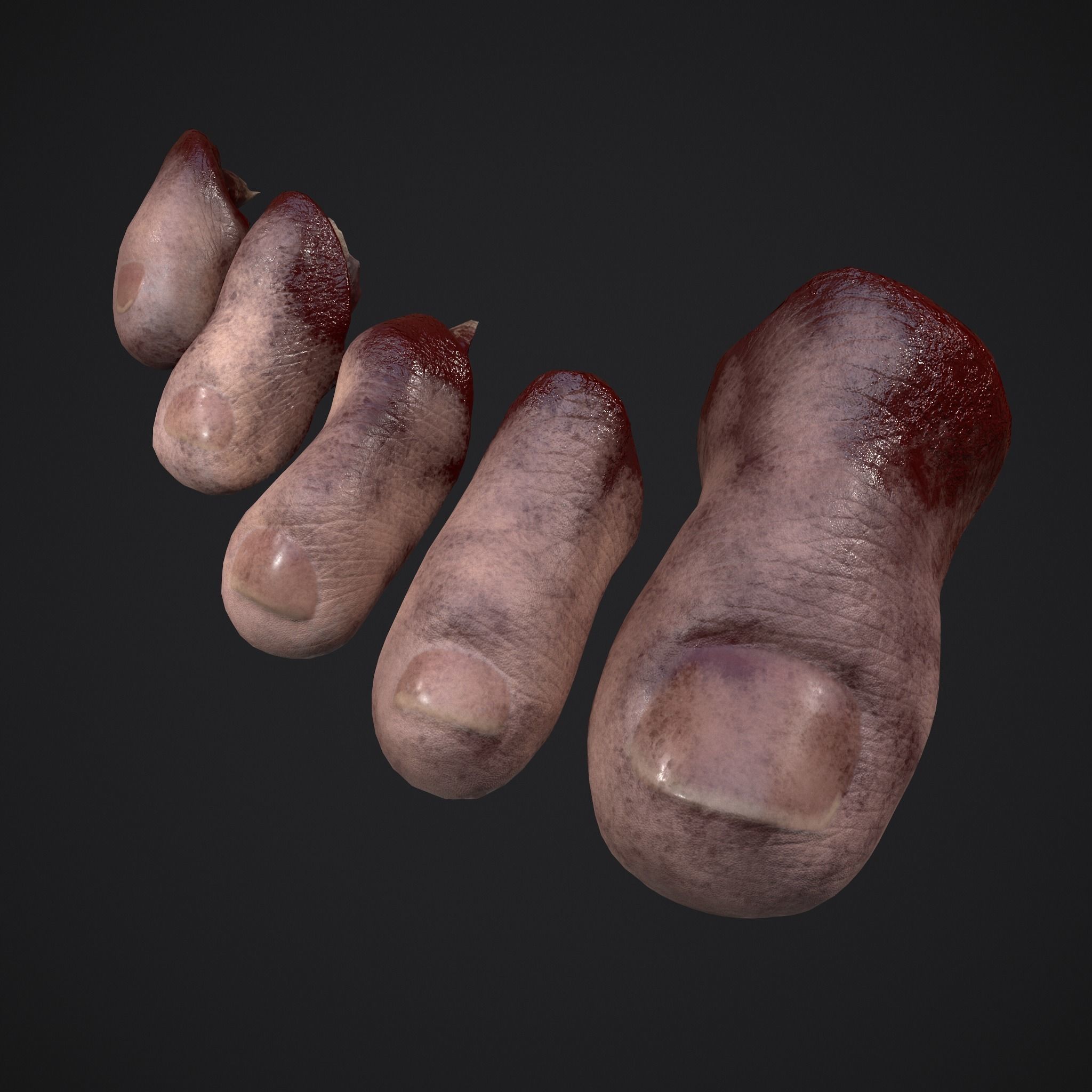 Severed Fingers Toes Ears and Nose 3D Model Collection_50