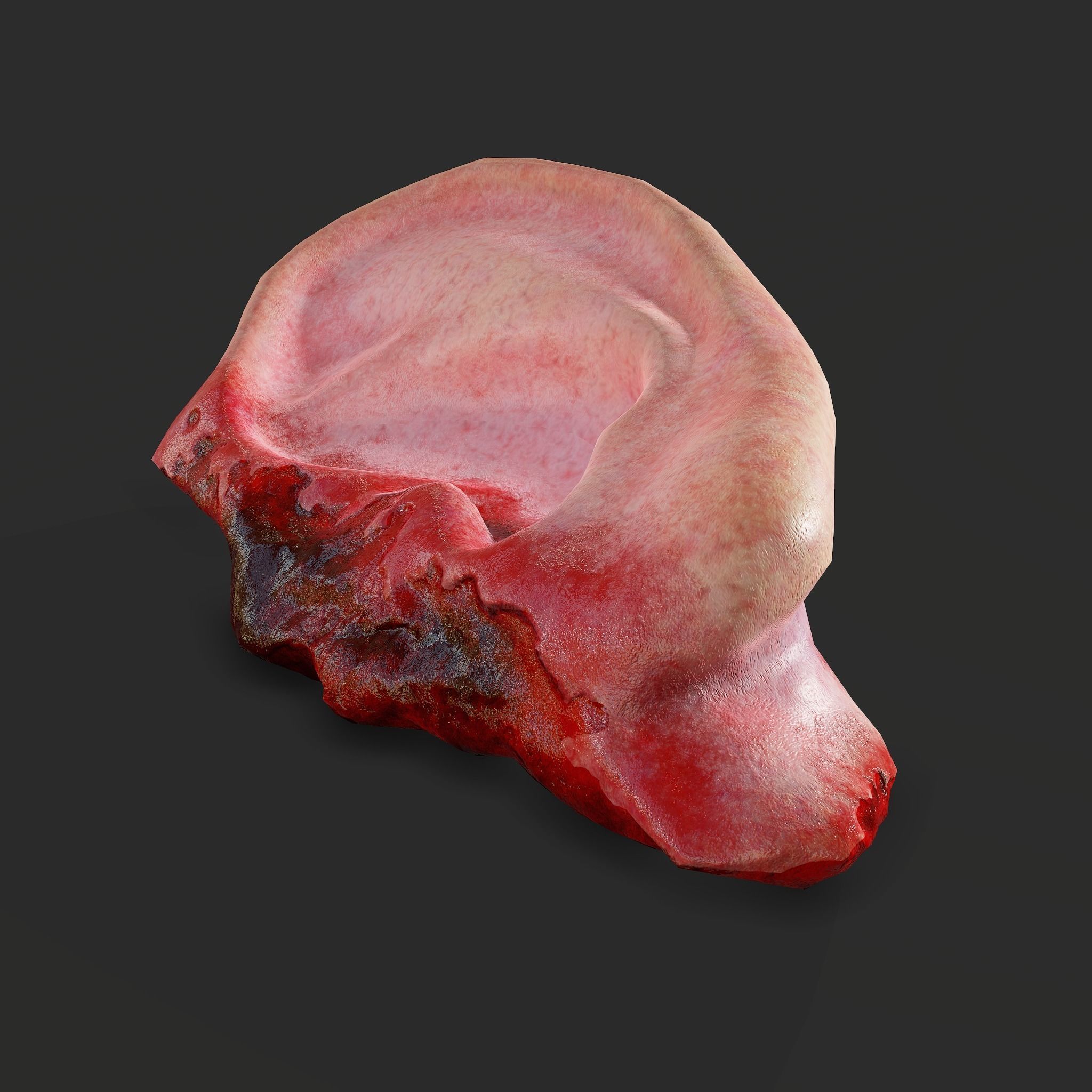 Severed Fingers Toes Ears and Nose 3D Model Collection_162