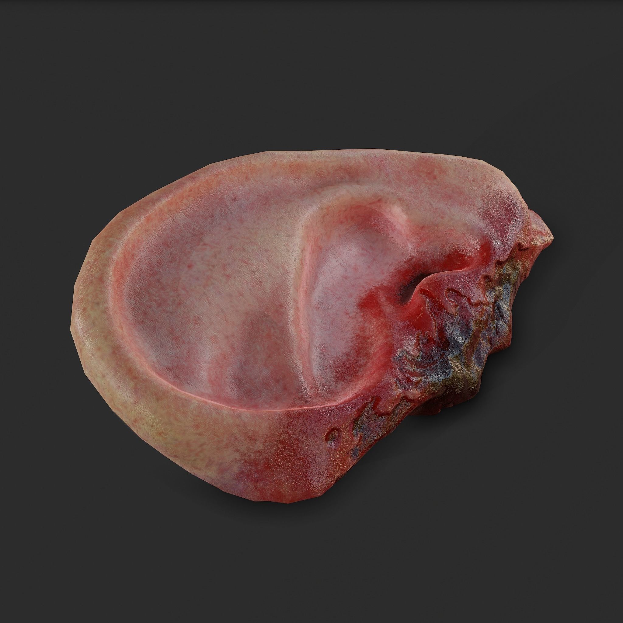 Severed Fingers Toes Ears and Nose 3D Model Collection_164