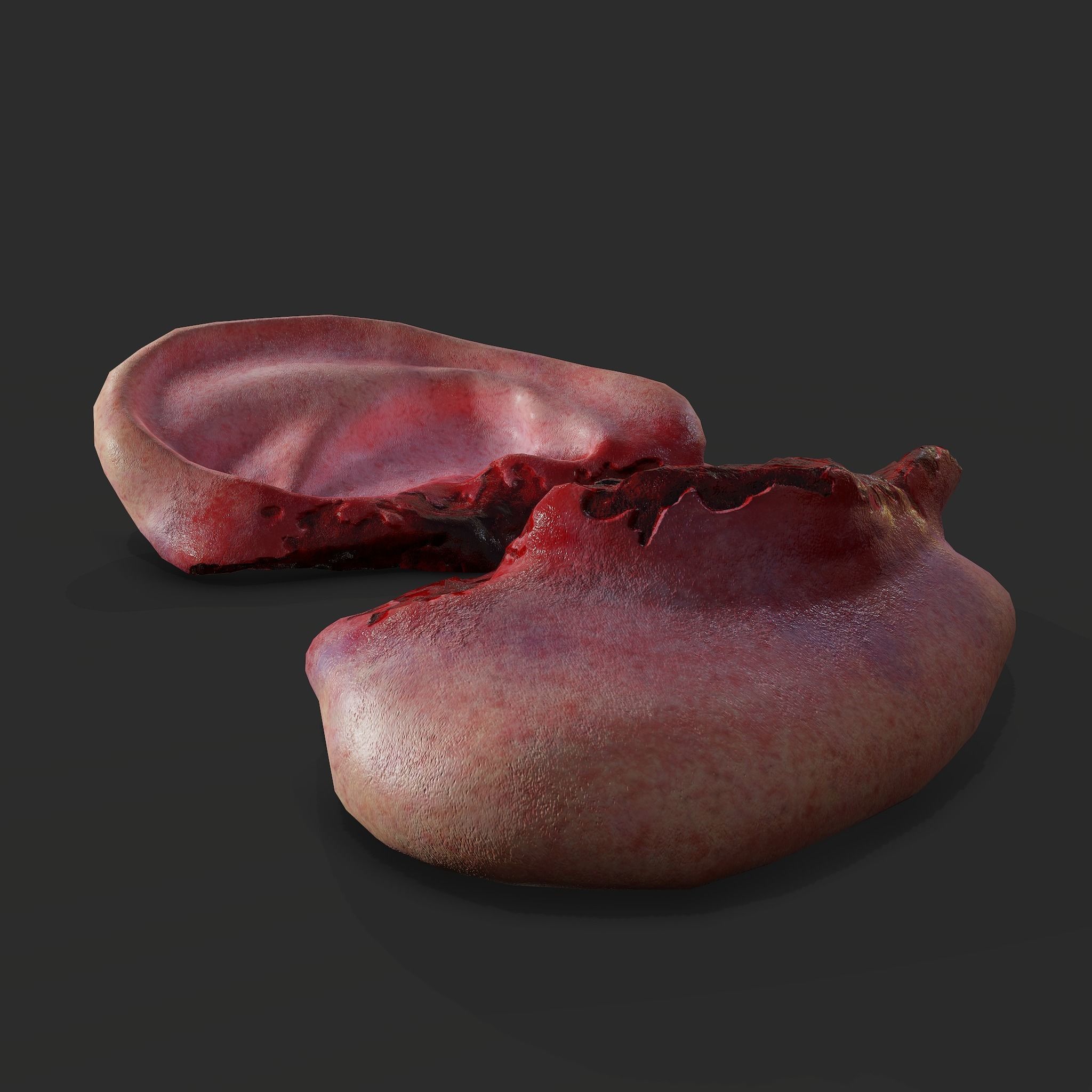 Severed Fingers Toes Ears and Nose 3D Model Collection_163