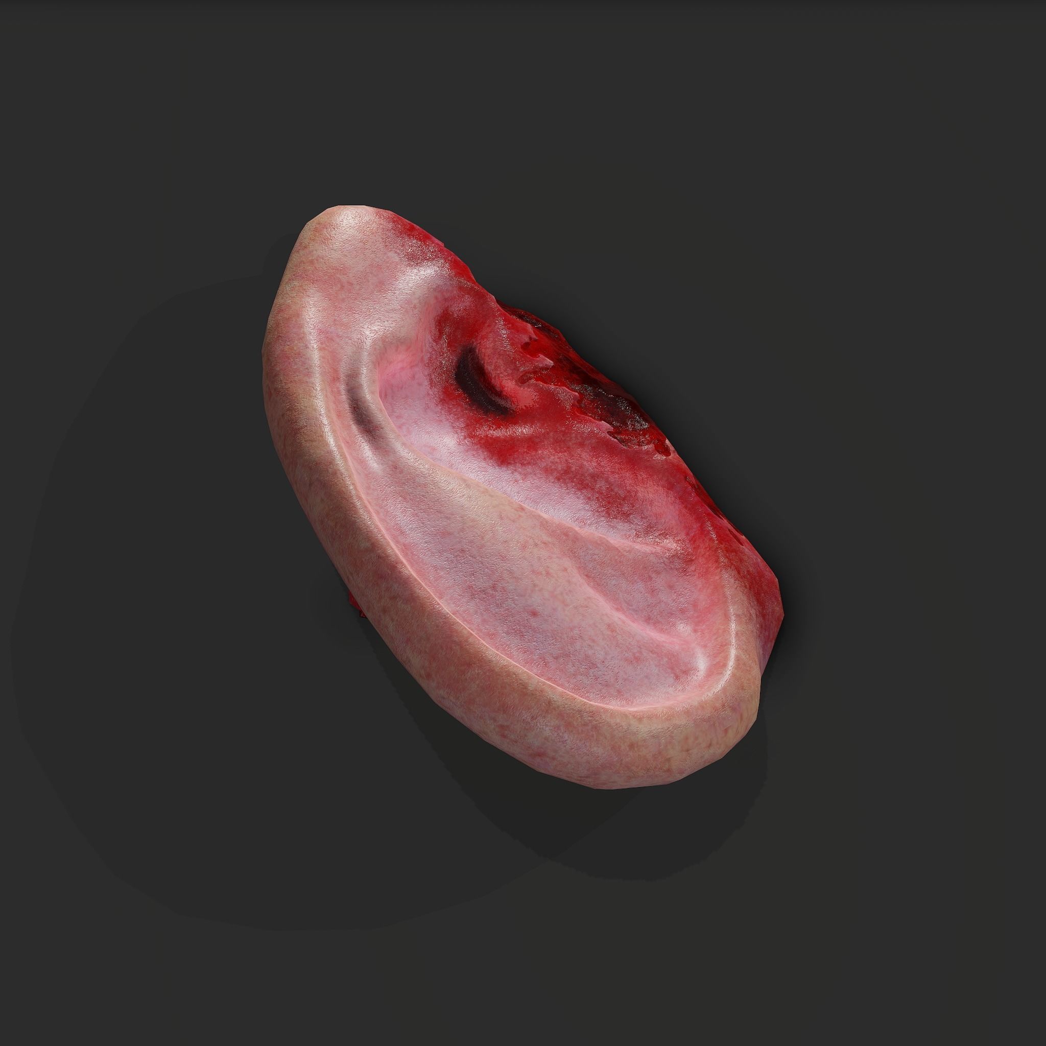 Severed Fingers Toes Ears and Nose 3D Model Collection_123