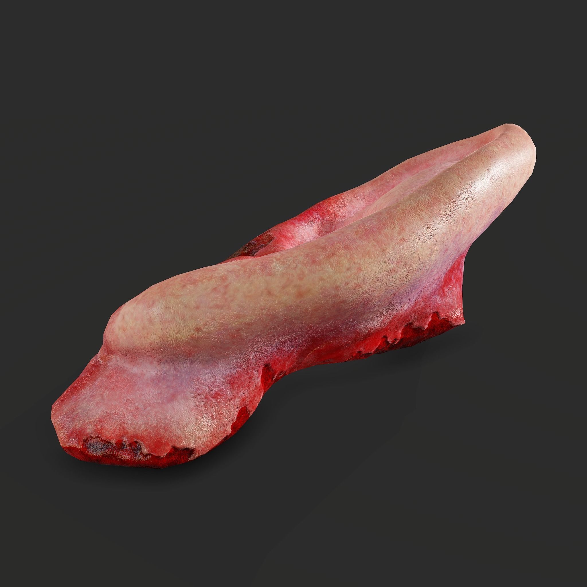 Severed Fingers Toes Ears and Nose 3D Model Collection_128