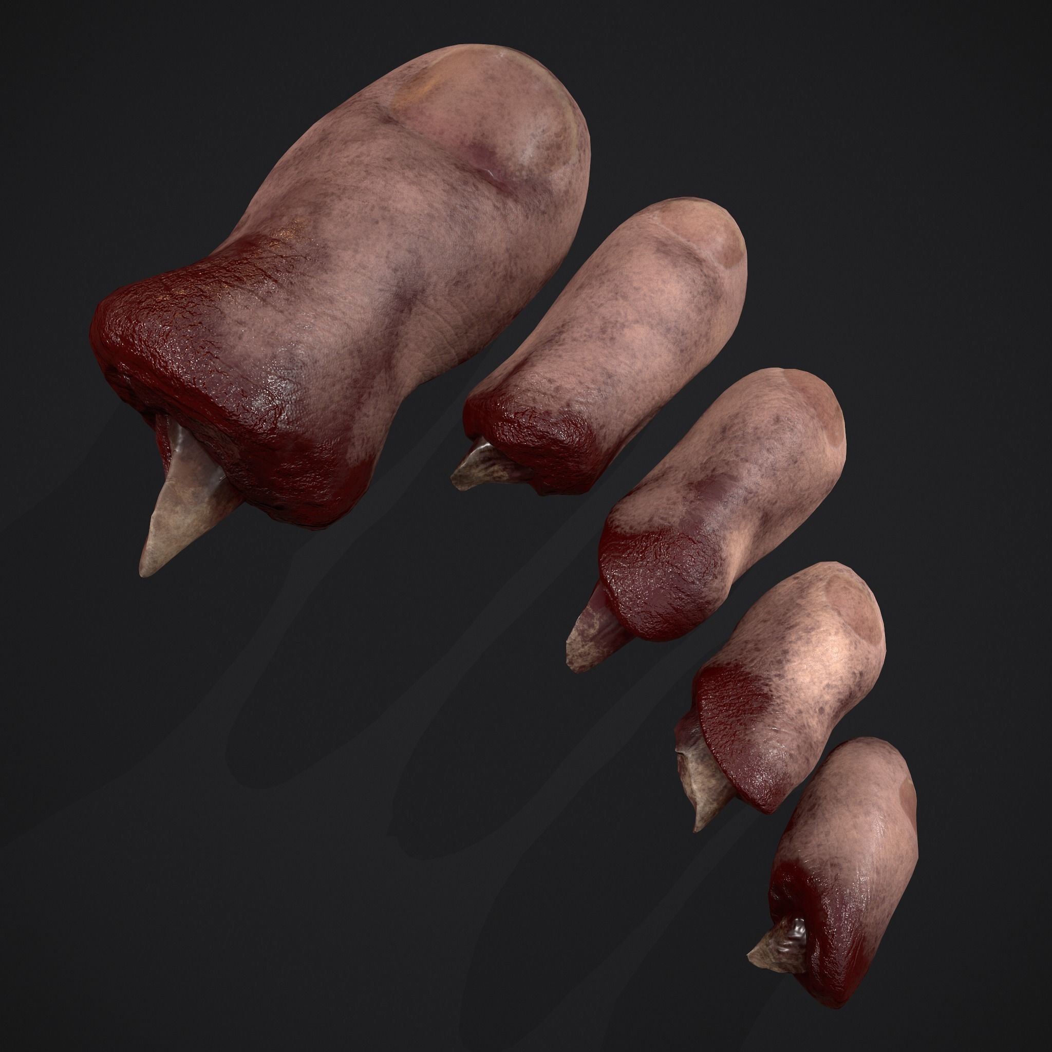 Severed Fingers Toes Ears and Nose 3D Model Collection_48
