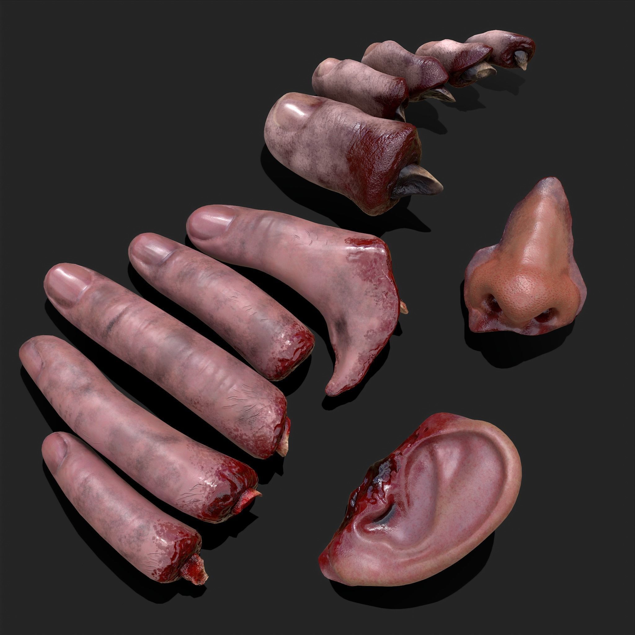 Severed Fingers Toes Ears and Nose 3D Model Collection_170