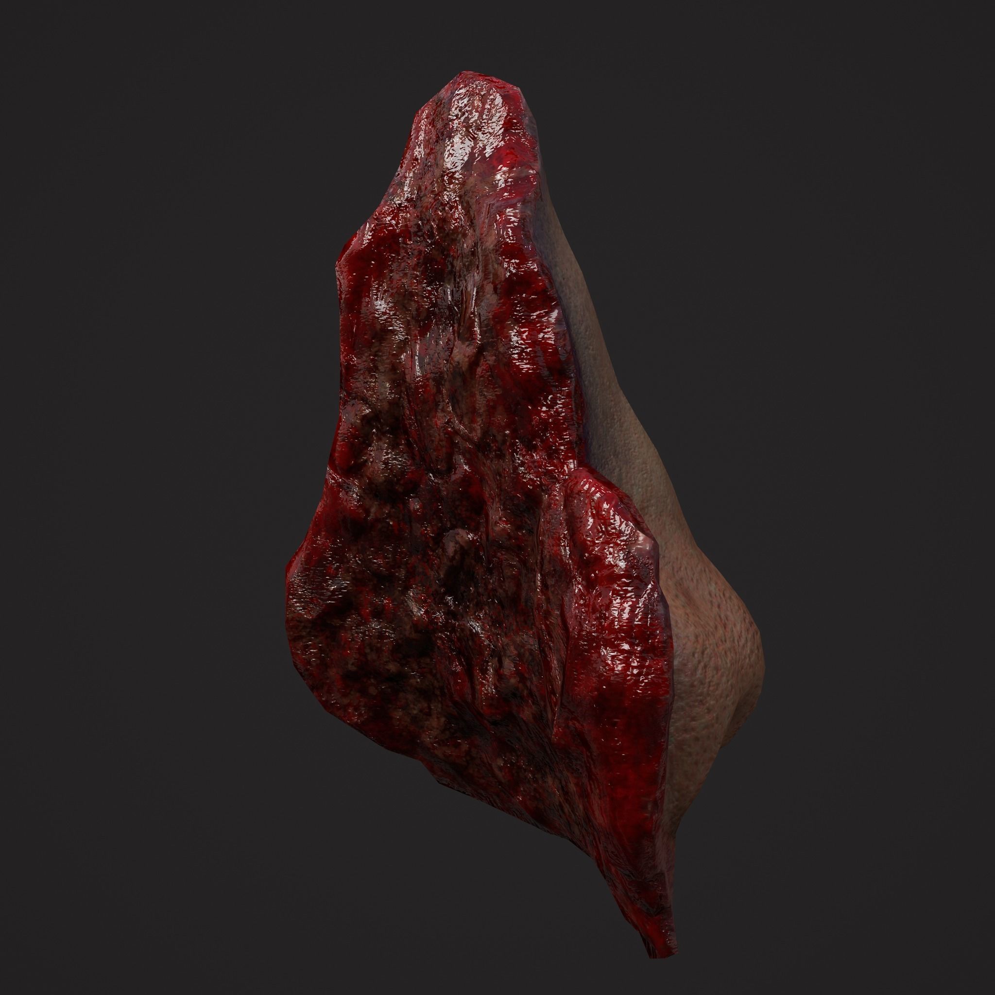 Severed Fingers Toes Ears and Nose 3D Model Collection_89