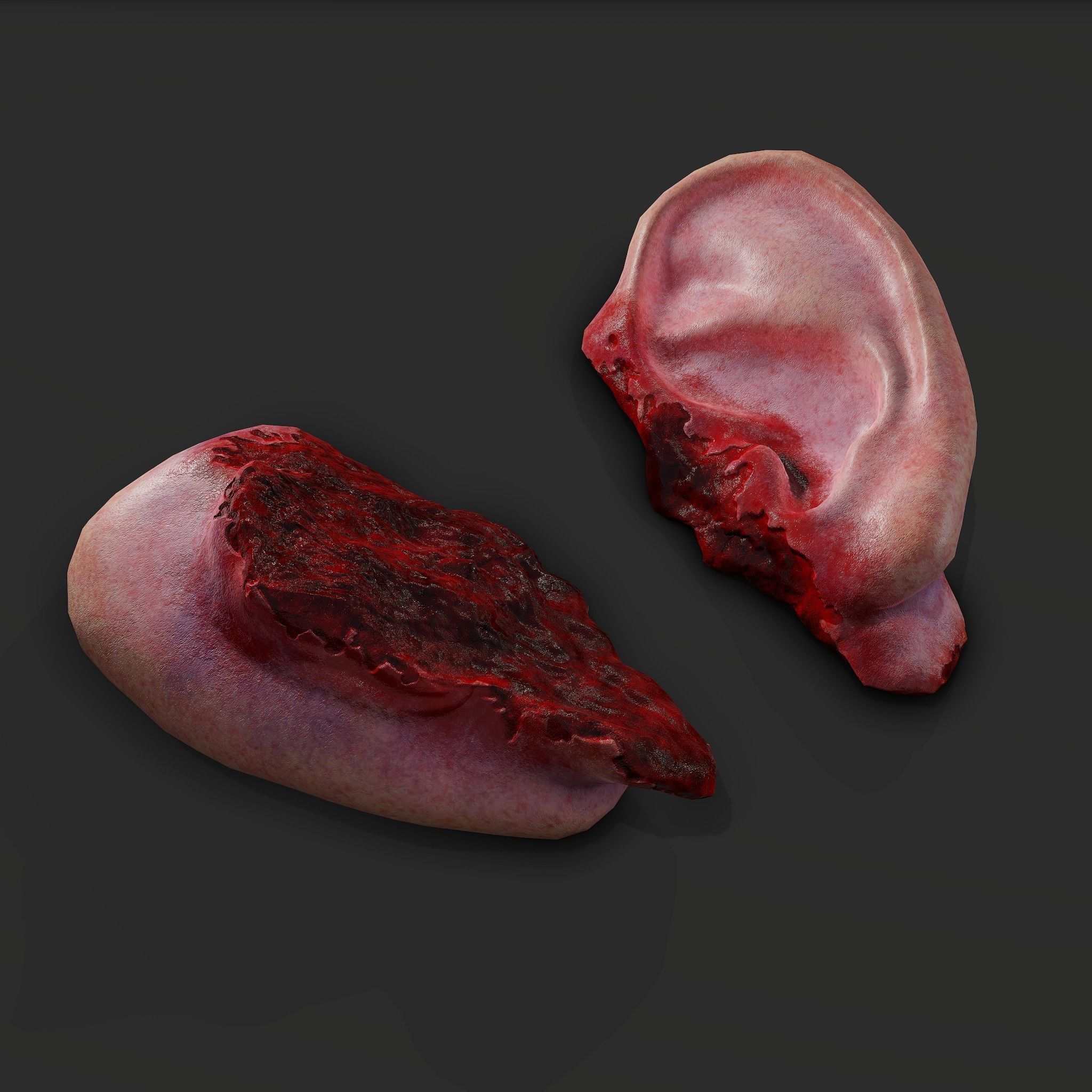 Severed Fingers Toes Ears and Nose 3D Model Collection_140