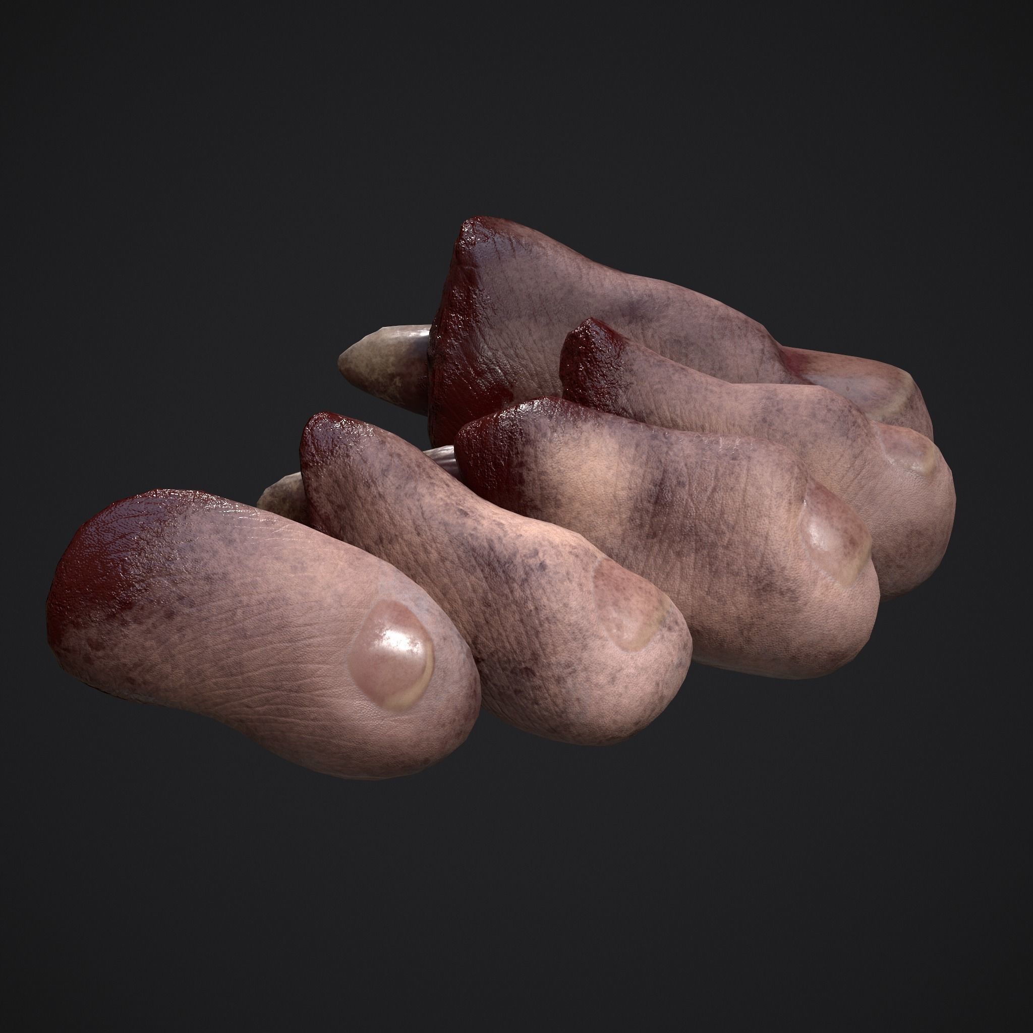 Severed Fingers Toes Ears and Nose 3D Model Collection_39