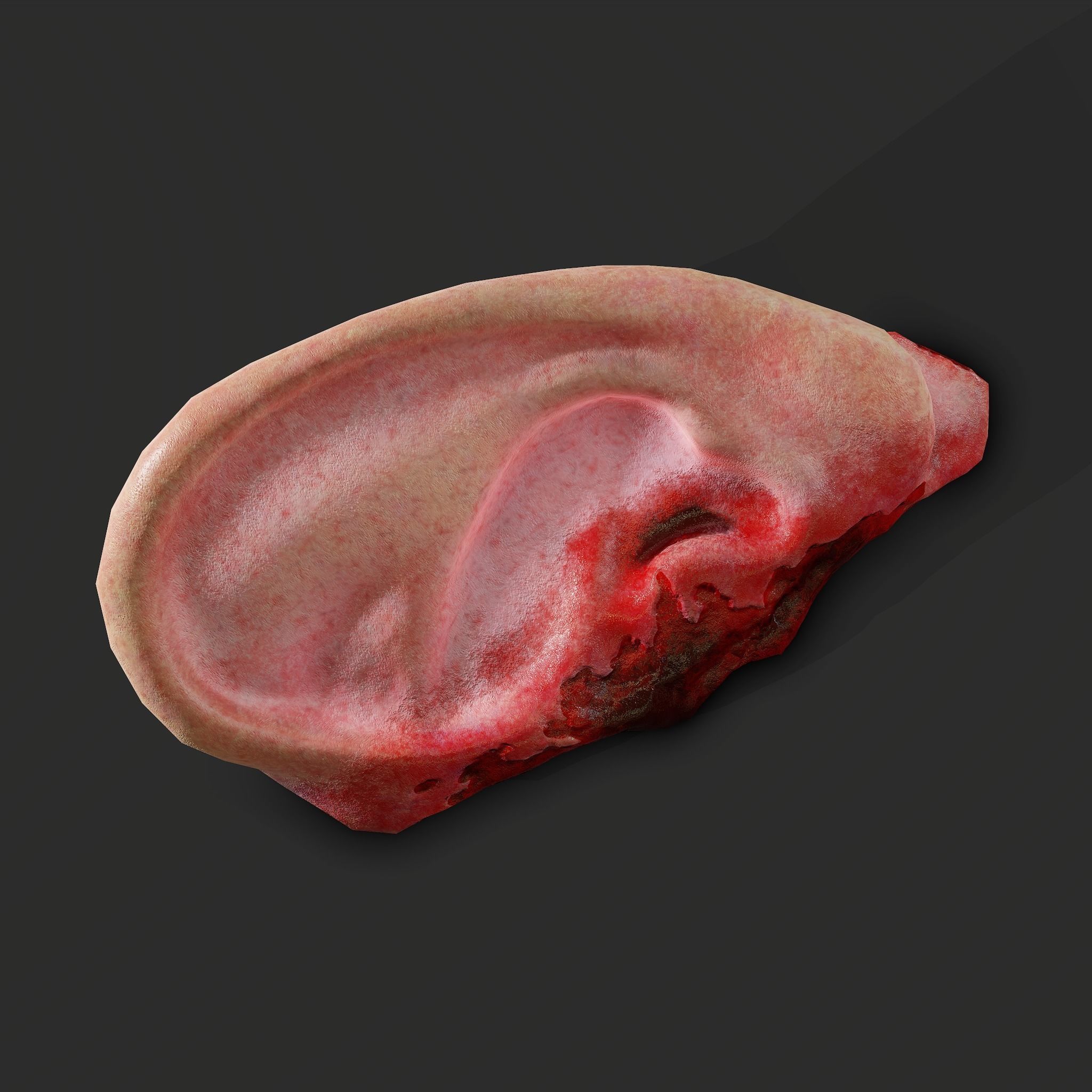 Severed Fingers Toes Ears and Nose 3D Model Collection_161