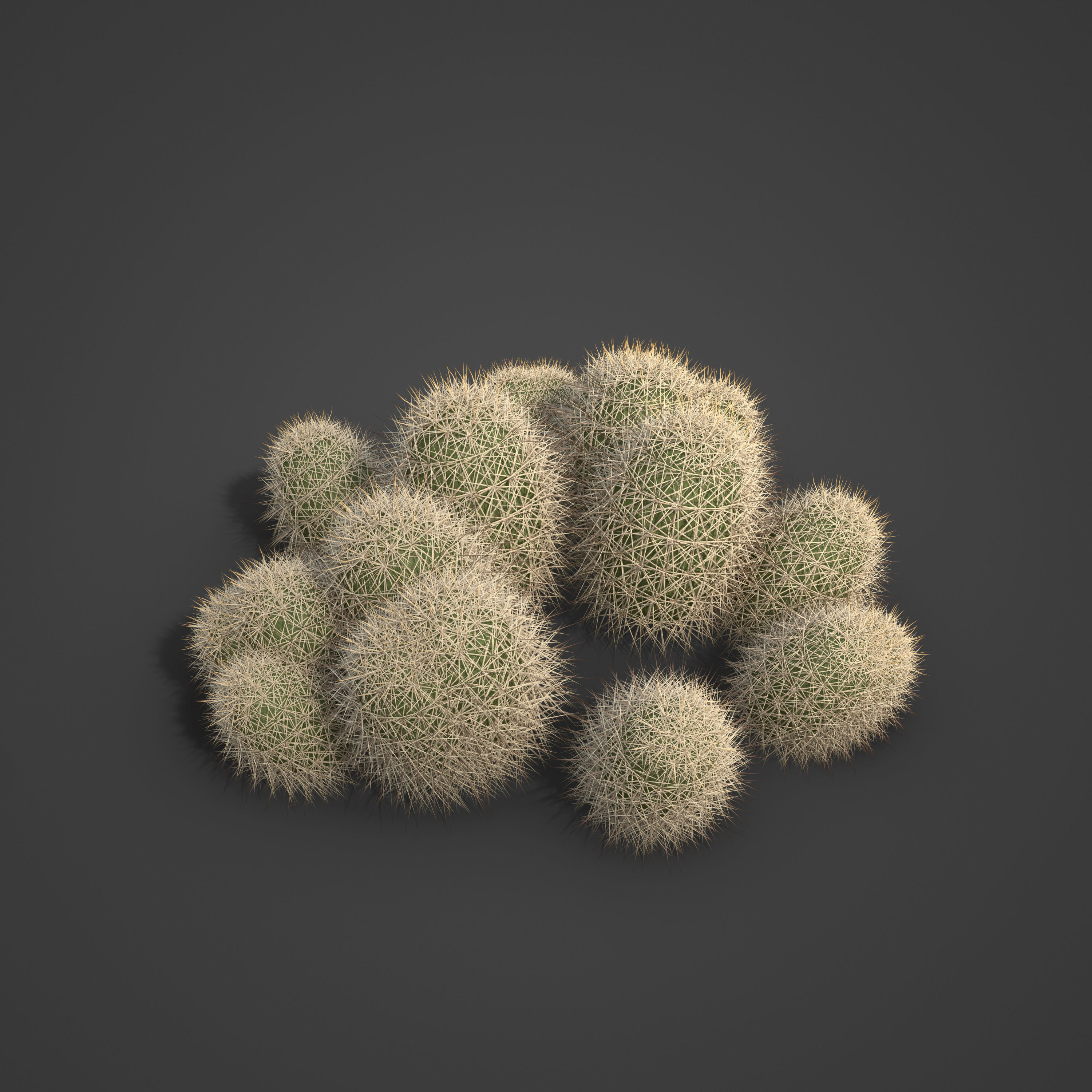 2021 PBR Strawberry Hedgehog - Echinocactus Engelmannii 3D model_2