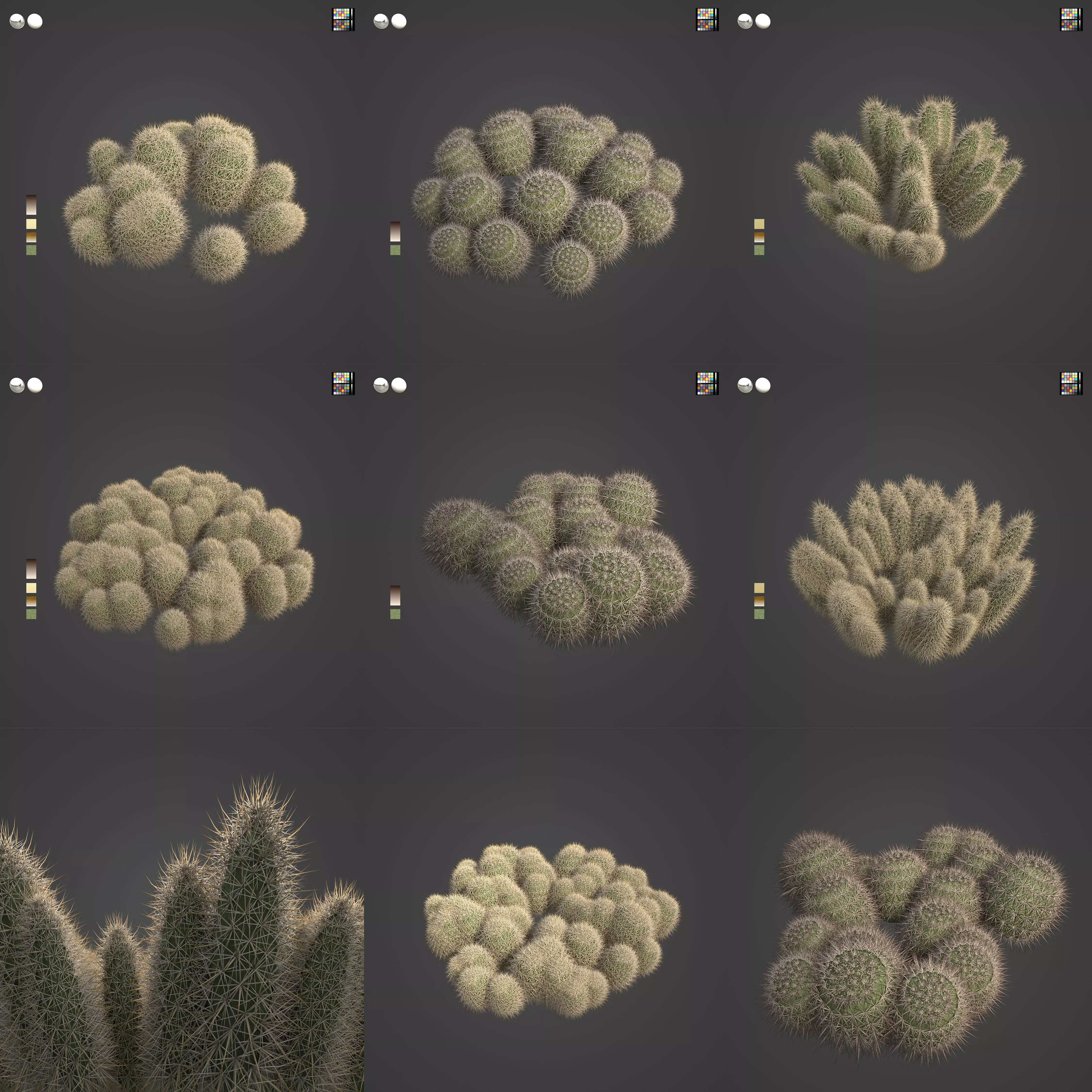 2021 PBR Strawberry Hedgehog - Echinocactus Engelmannii 3D model_0