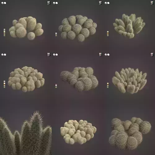 2021 PBR Strawberry Hedgehog - Echinocactus Engelmannii 