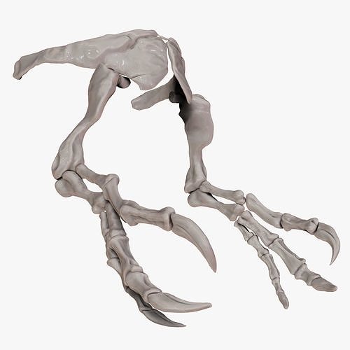 Spinosaururs Arm Set 2020 version Sculpt Project 3D model