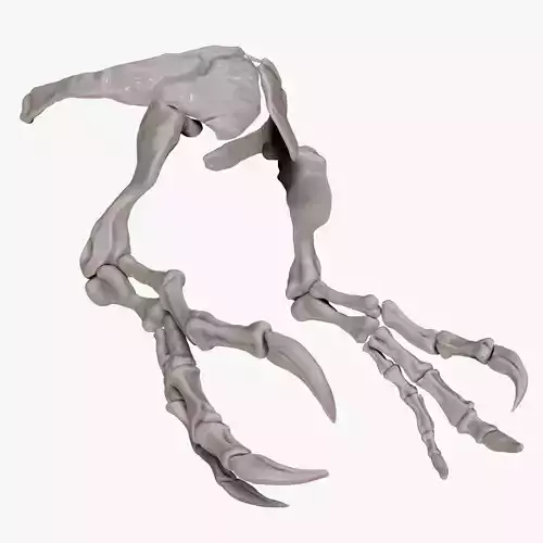 Spinosaururs Arm Set 2020 version Sculpt Project 3D model