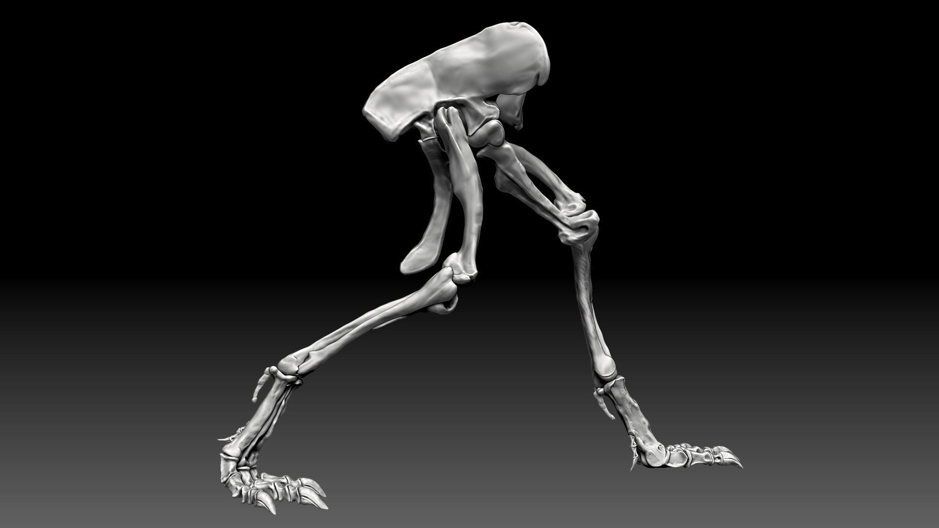 Spinosaurus 2020 version Hip Leg Set Skeletons 3D model_3