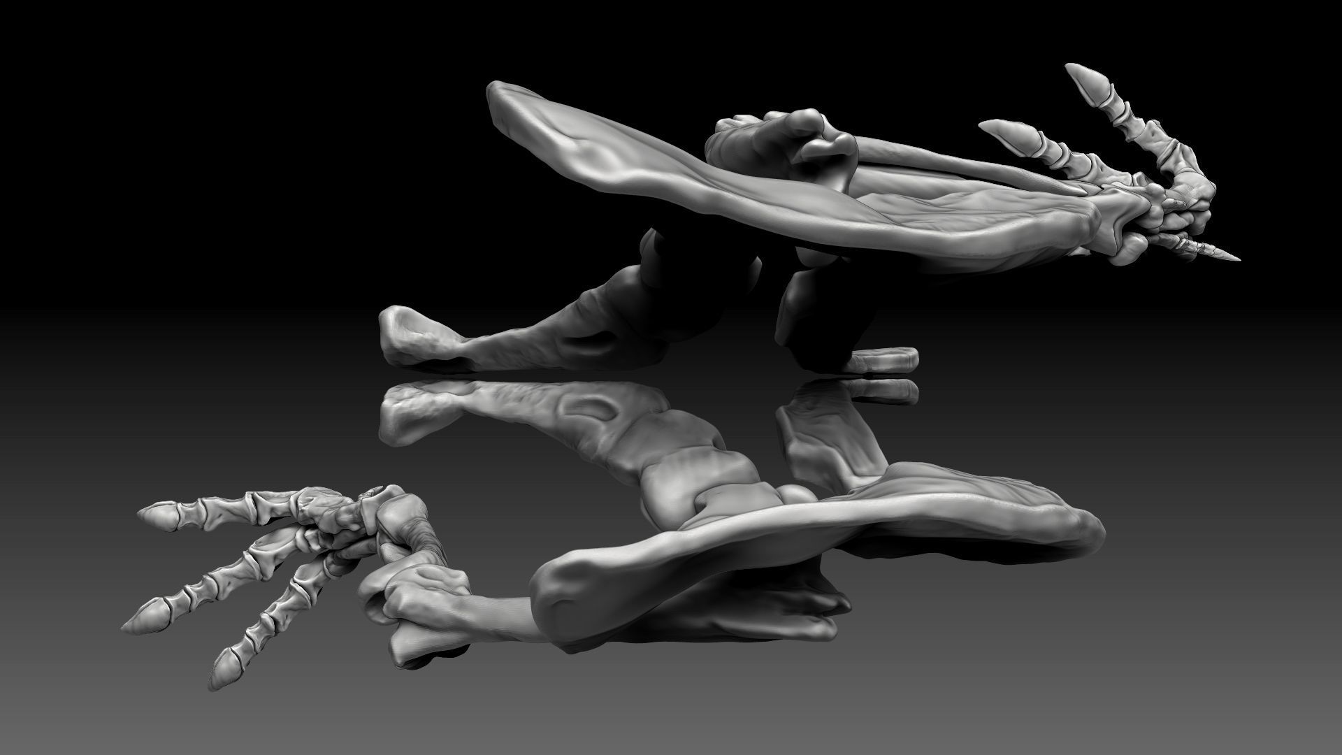 Spinosaurus 2020 version Hip Leg Set Skeletons 3D model_6