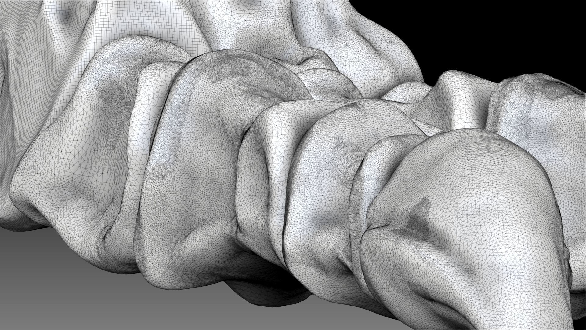 Spinosaurus 2020 version Hip Leg Set Skeletons 3D model_13