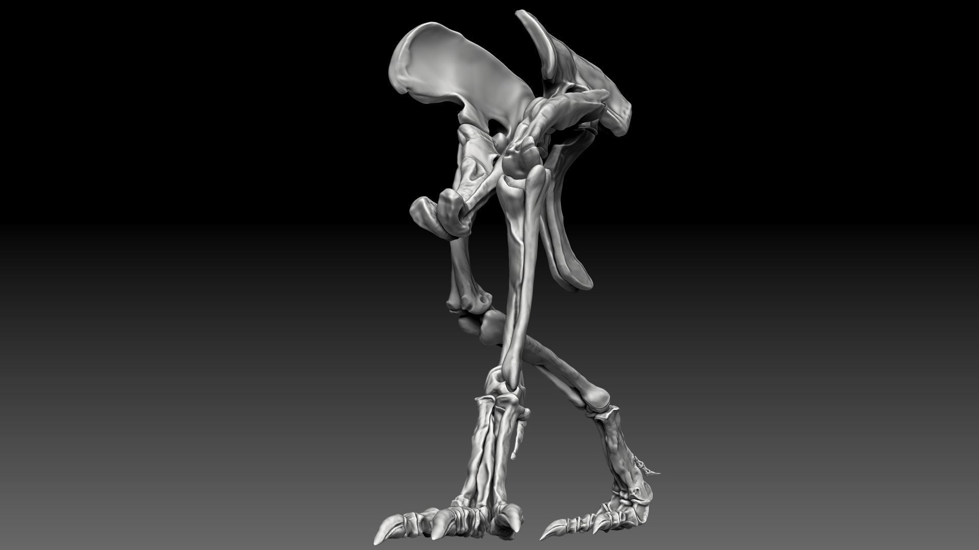 Spinosaurus 2020 version Hip Leg Set Skeletons 3D model_8