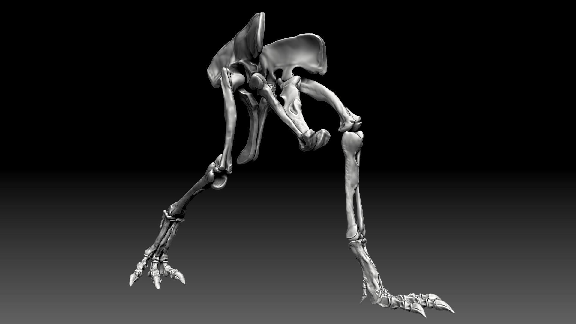 Spinosaurus 2020 version Hip Leg Set Skeletons 3D model_2