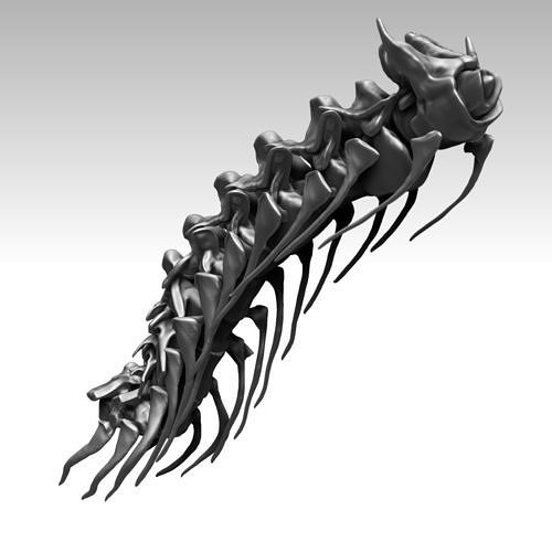 Spinosaurus 2020 version Neck Set Skeletons 3D model