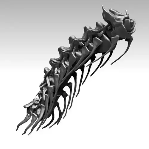 Spinosaurus 2020 version Neck Set Skeletons