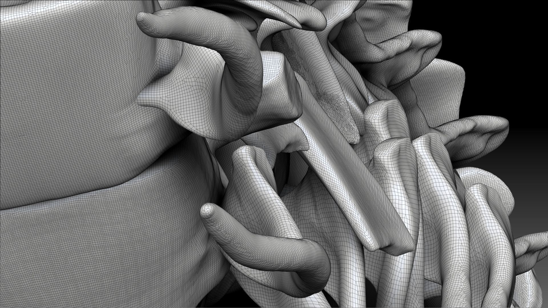 Spinosaurus 2020 version Neck Set Skeletons 3D model_12