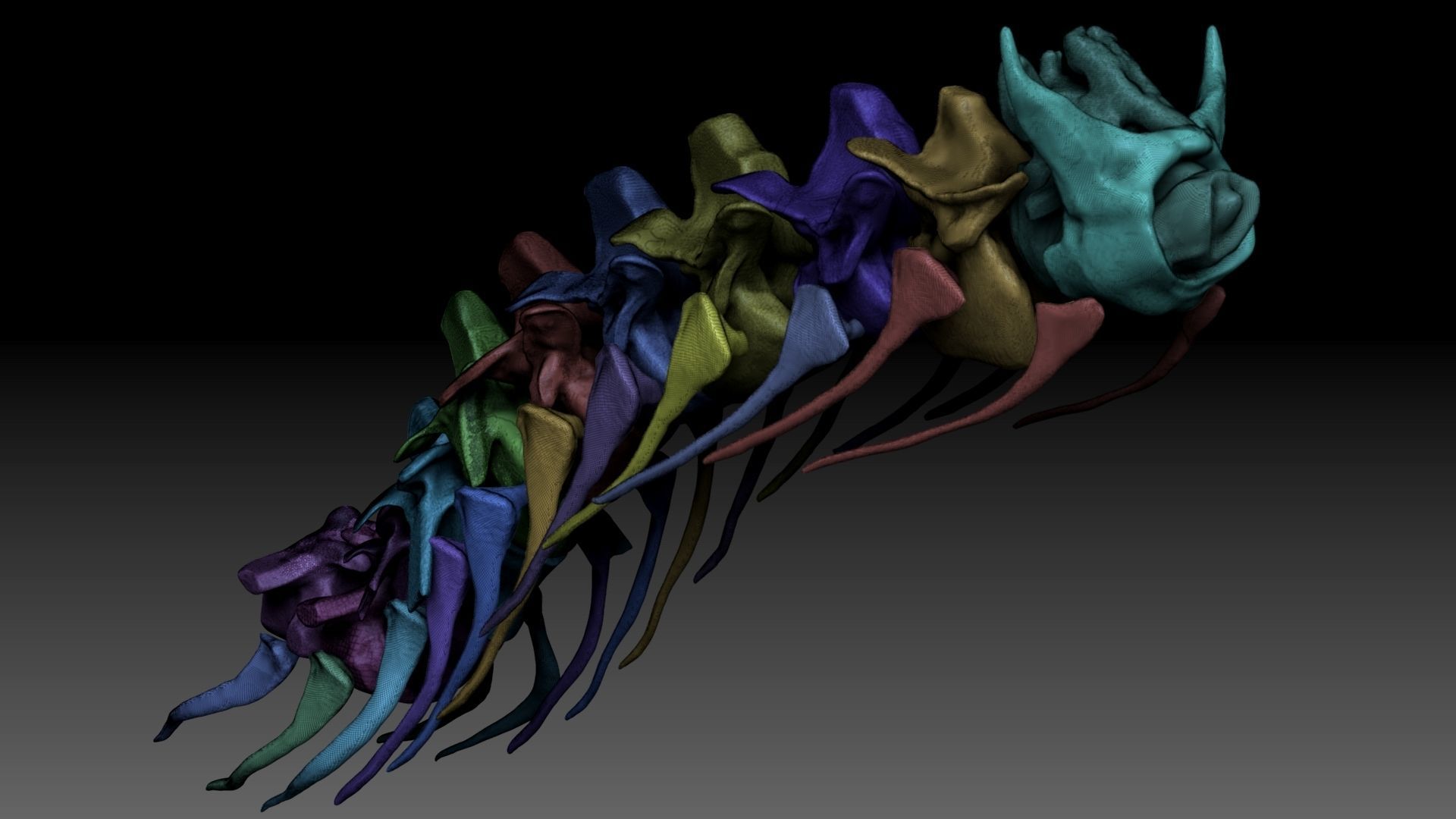 Spinosaurus 2020 version Neck Set Skeletons 3D model_9