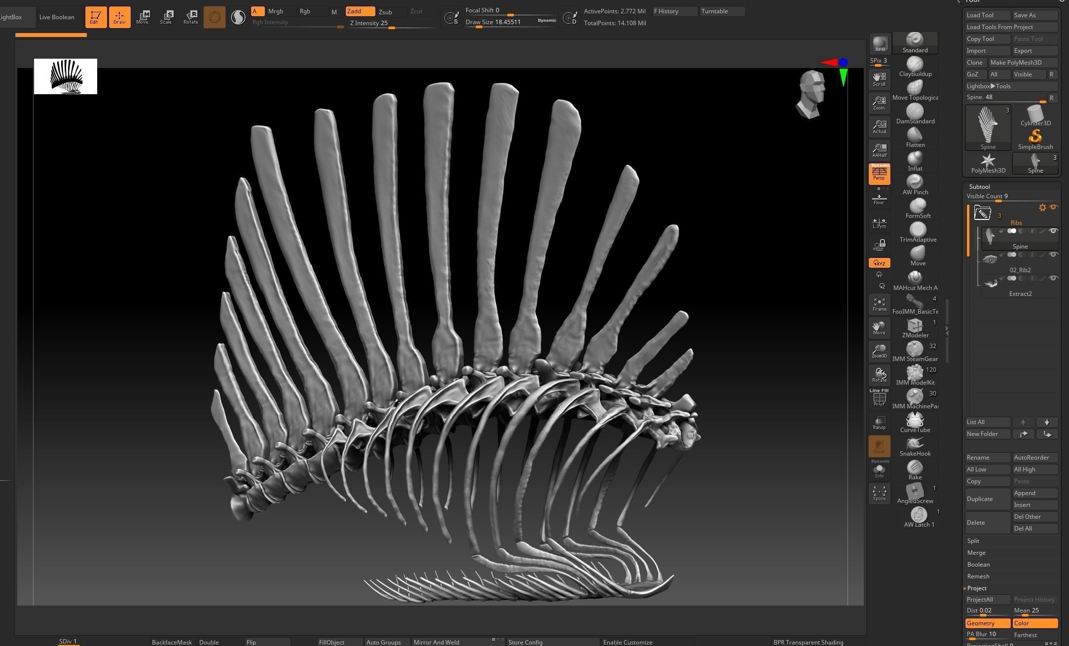 Spinosaurus 2020 version Rib Set Skeletons Sculpt Project 3D model_5