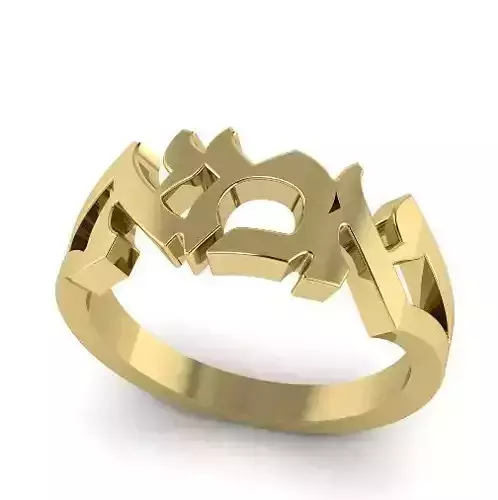Ring Model 1173