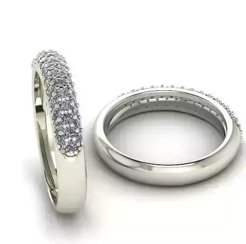 Ring Model 1201