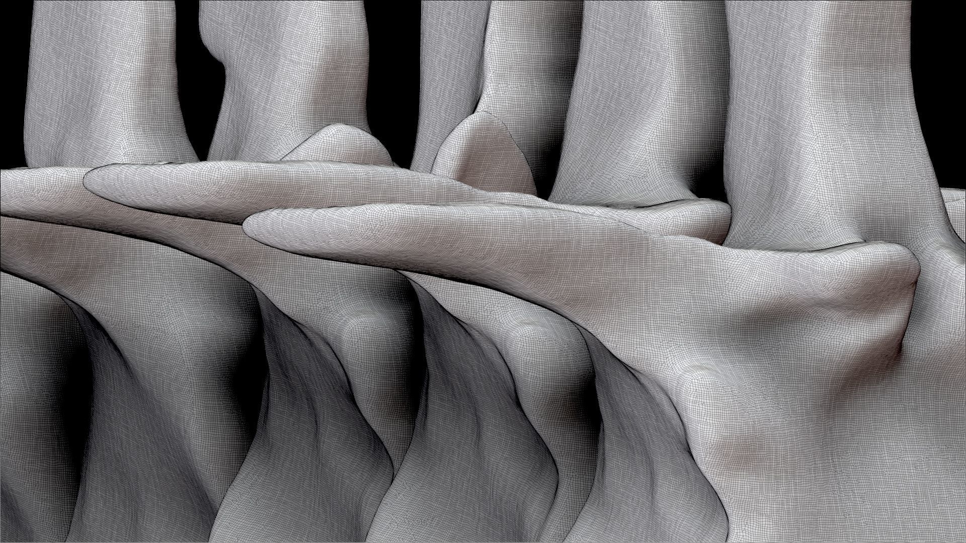 Dinosaur Spinosaurus 2020 version Tail Set Skeletons Sculpt 3D model_13