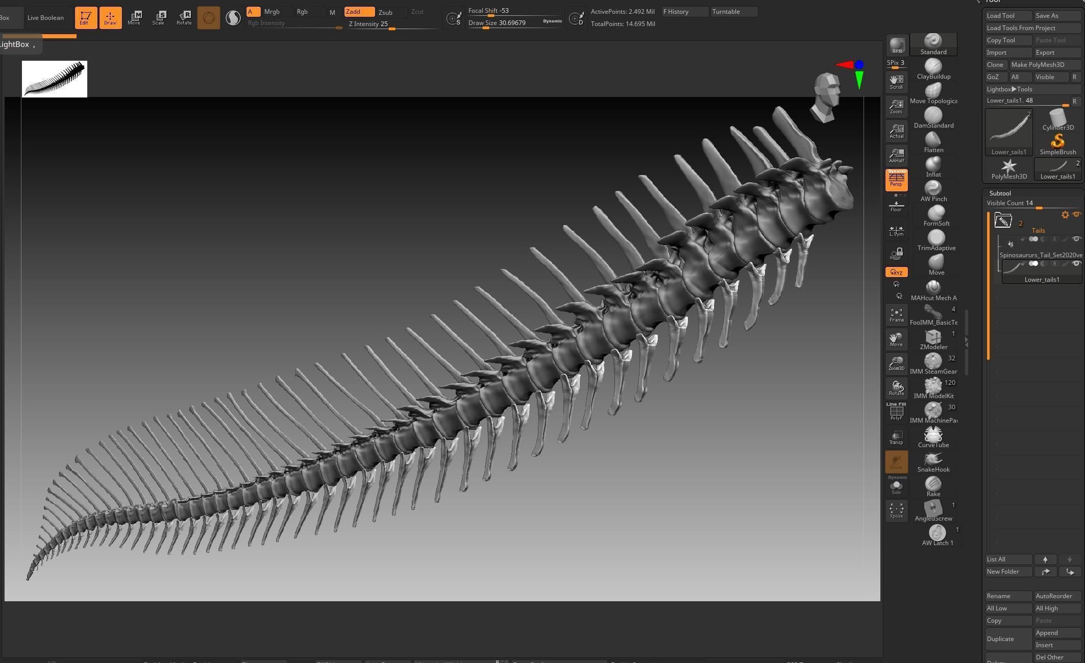 Dinosaur Spinosaurus 2020 version Tail Set Skeletons Sculpt 3D model_12