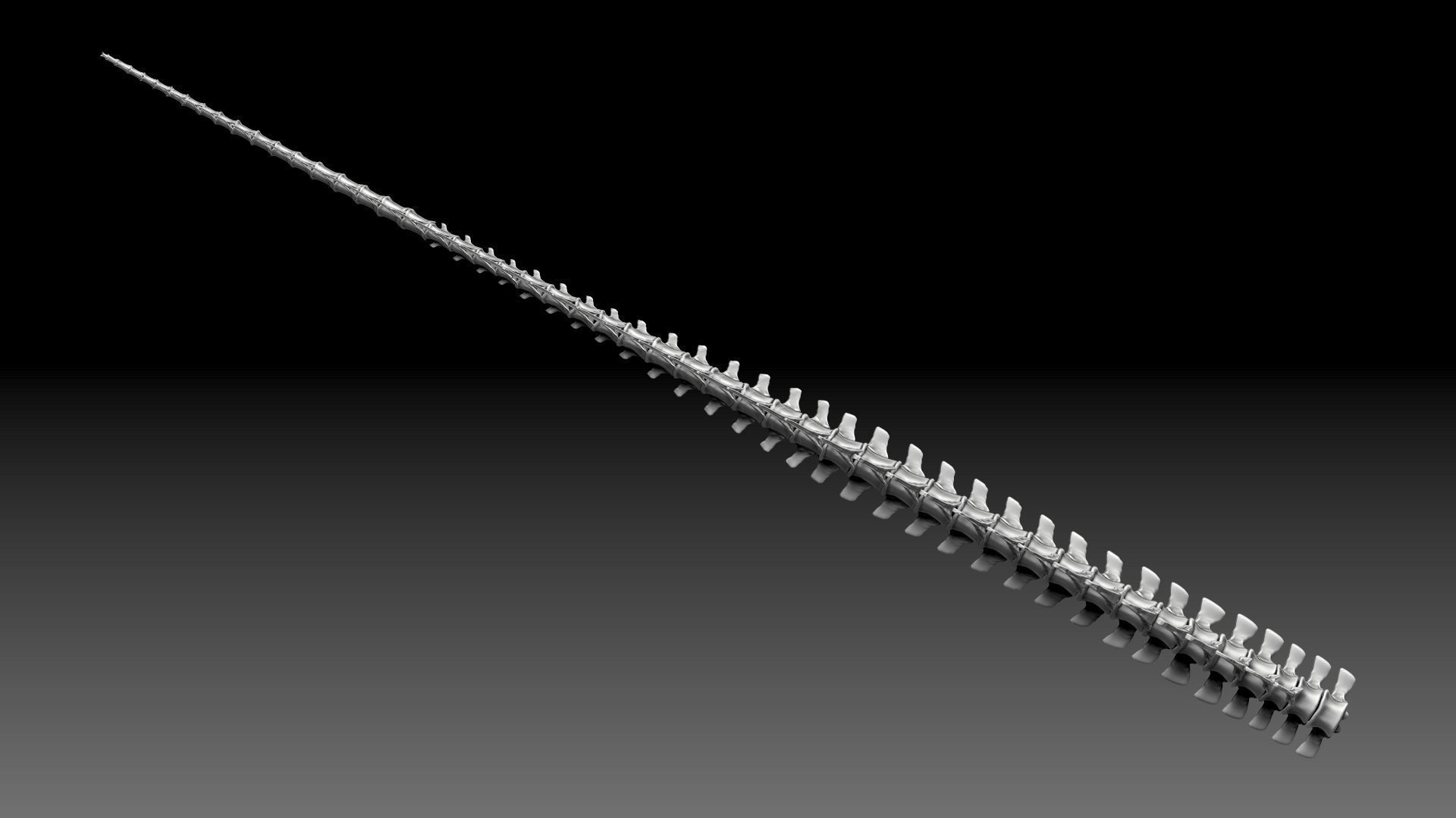 Dinosaur Spinosaurus 2020 version Tail Set Skeletons Sculpt 3D model_7