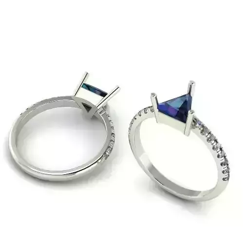 Ring Model 1208 3D print model