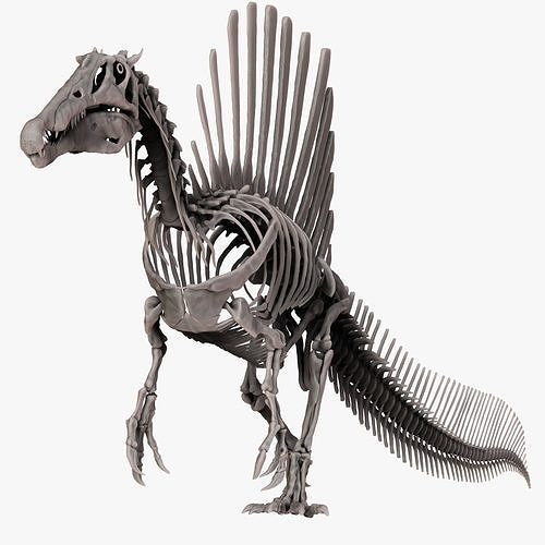 Spinosaurus 2020 version Full Set Skeletons Sculpt Project 3D model