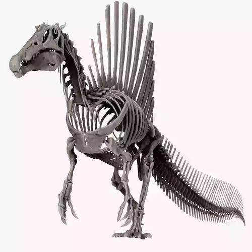 Dinosaur Spinosaurus 2020 version Full Set Skeletons Sculpt 