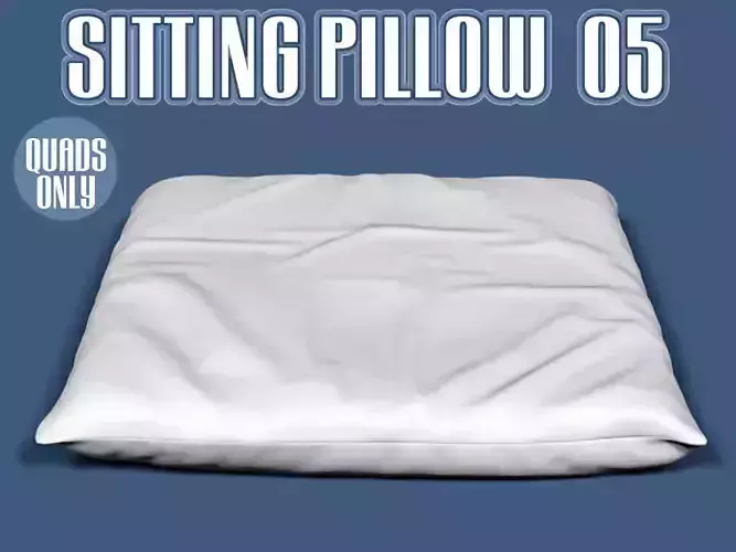 Sitting pillow 05