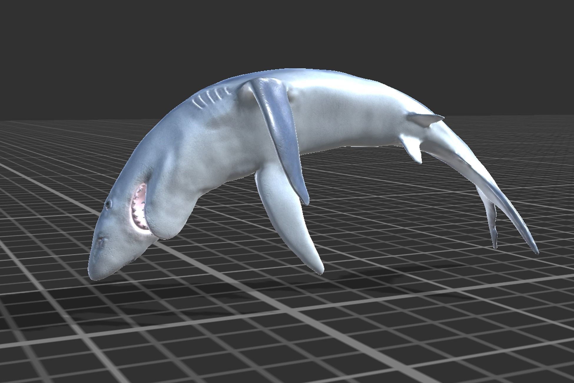 Blue shark Low-poly 3D model_8