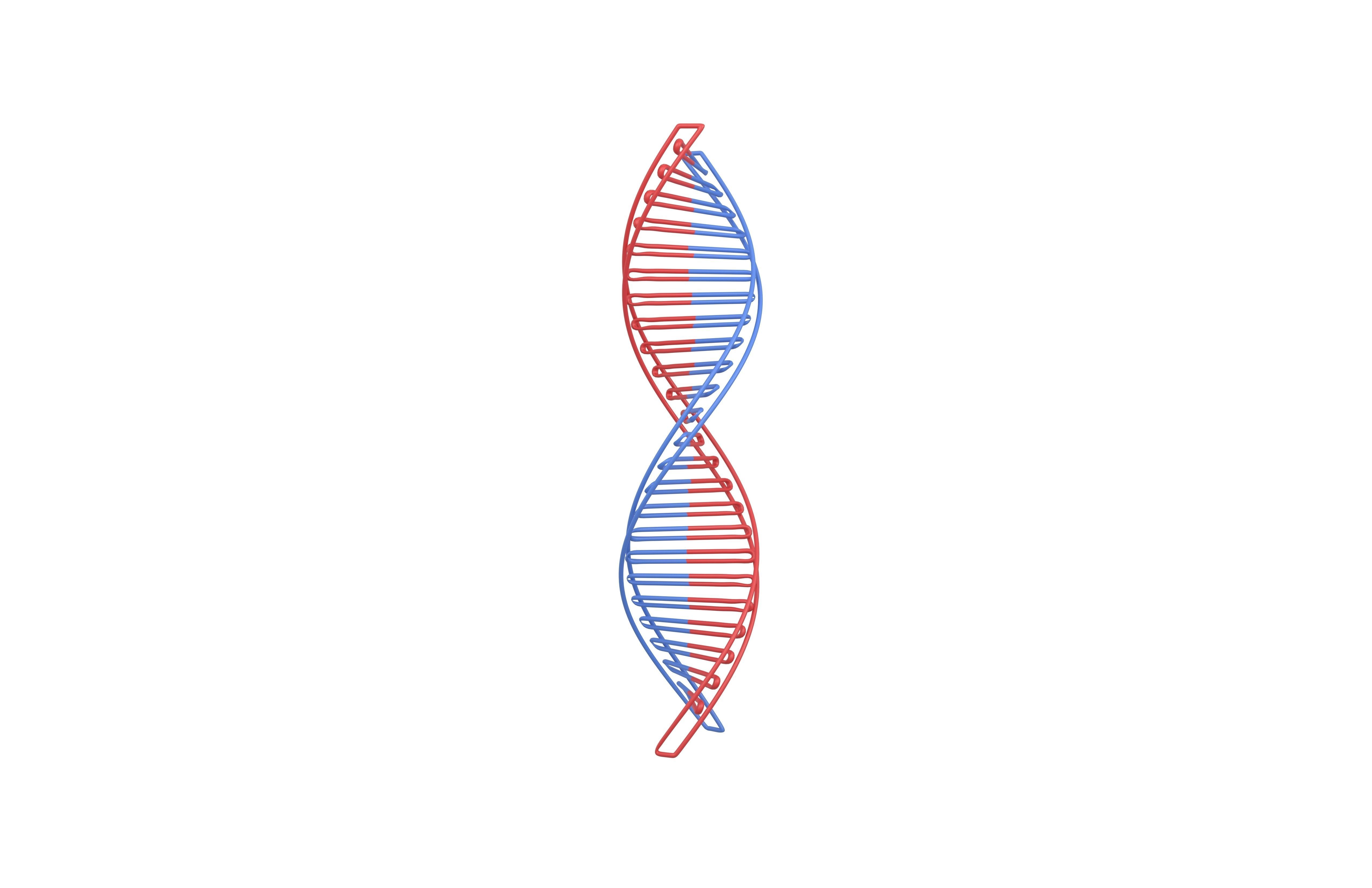 DNA Molecule v3 001 Low-poly 3D model_1