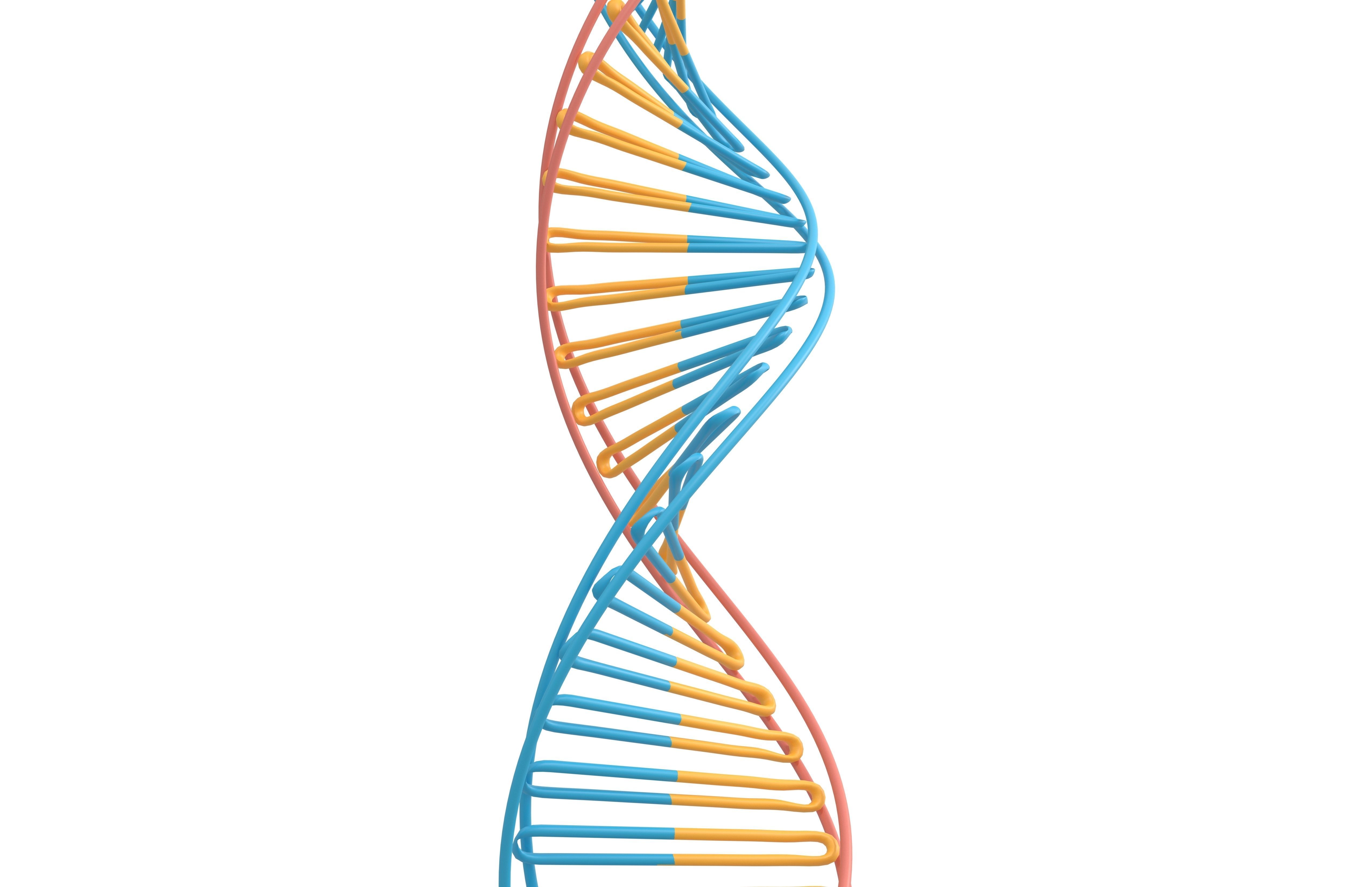 DNA Molecule v3 002 Low-poly 3D model_3
