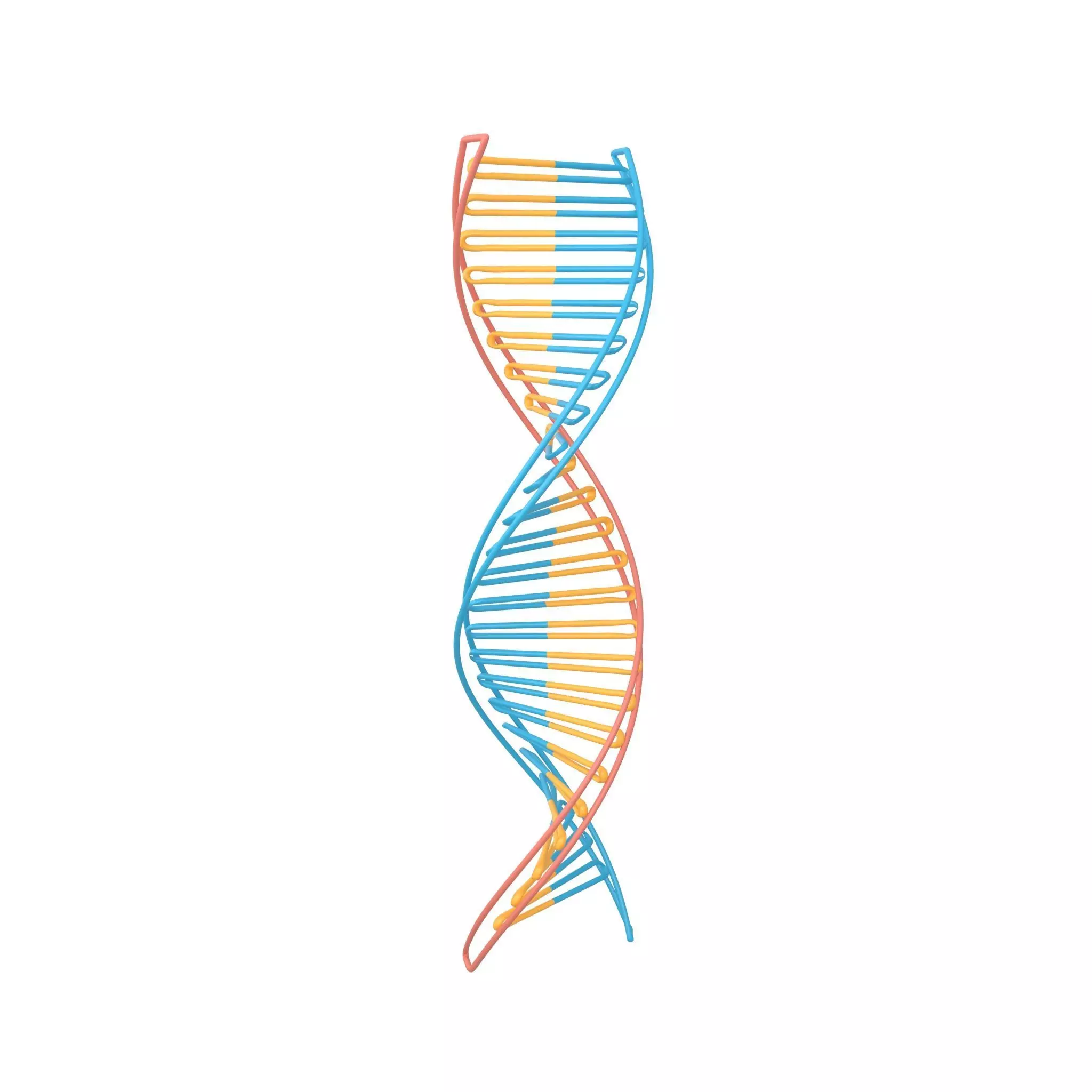 DNA Molecule v3 002 Low-poly 3D model_0