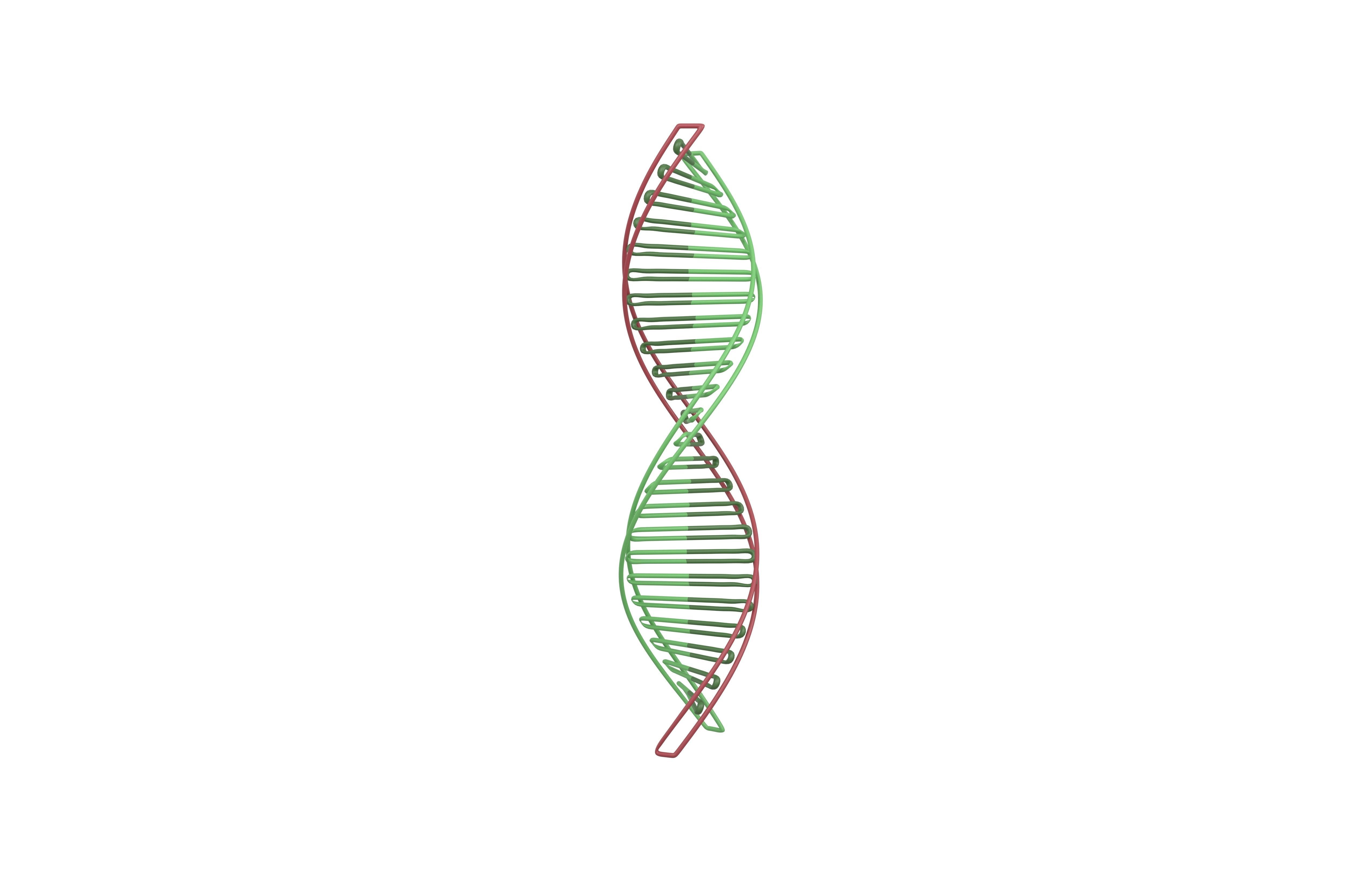 DNA Molecule v3 003 Low-poly 3D model_1