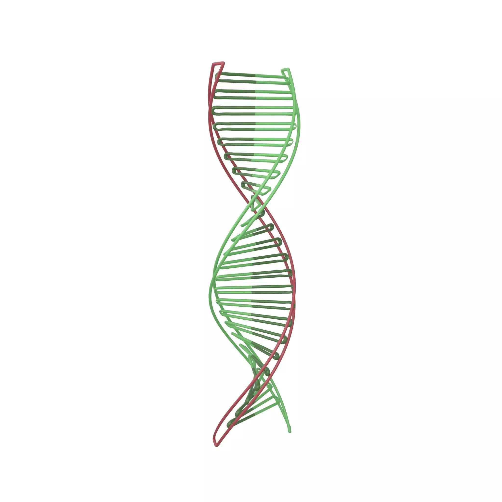 DNA Molecule v3 003 Low-poly 3D model_0