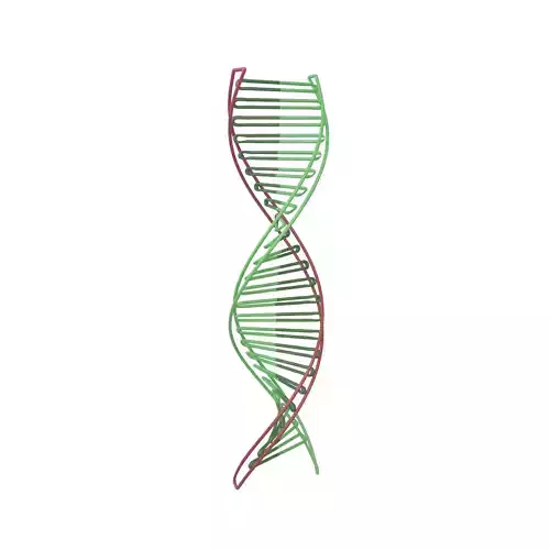 DNA Molecule v3 003 Low-poly 3D model