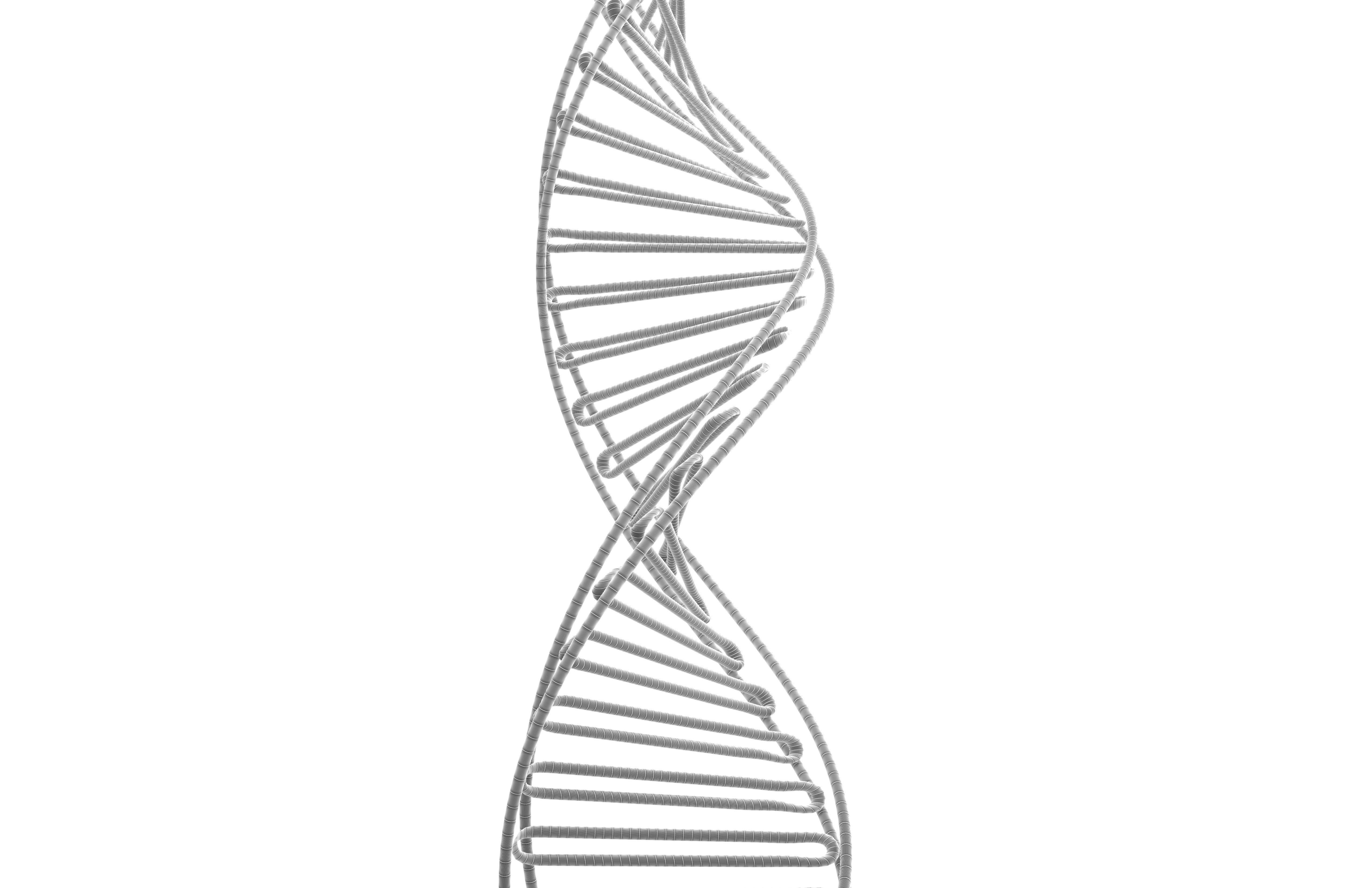 DNA Molecule v3 003 Low-poly 3D model_7