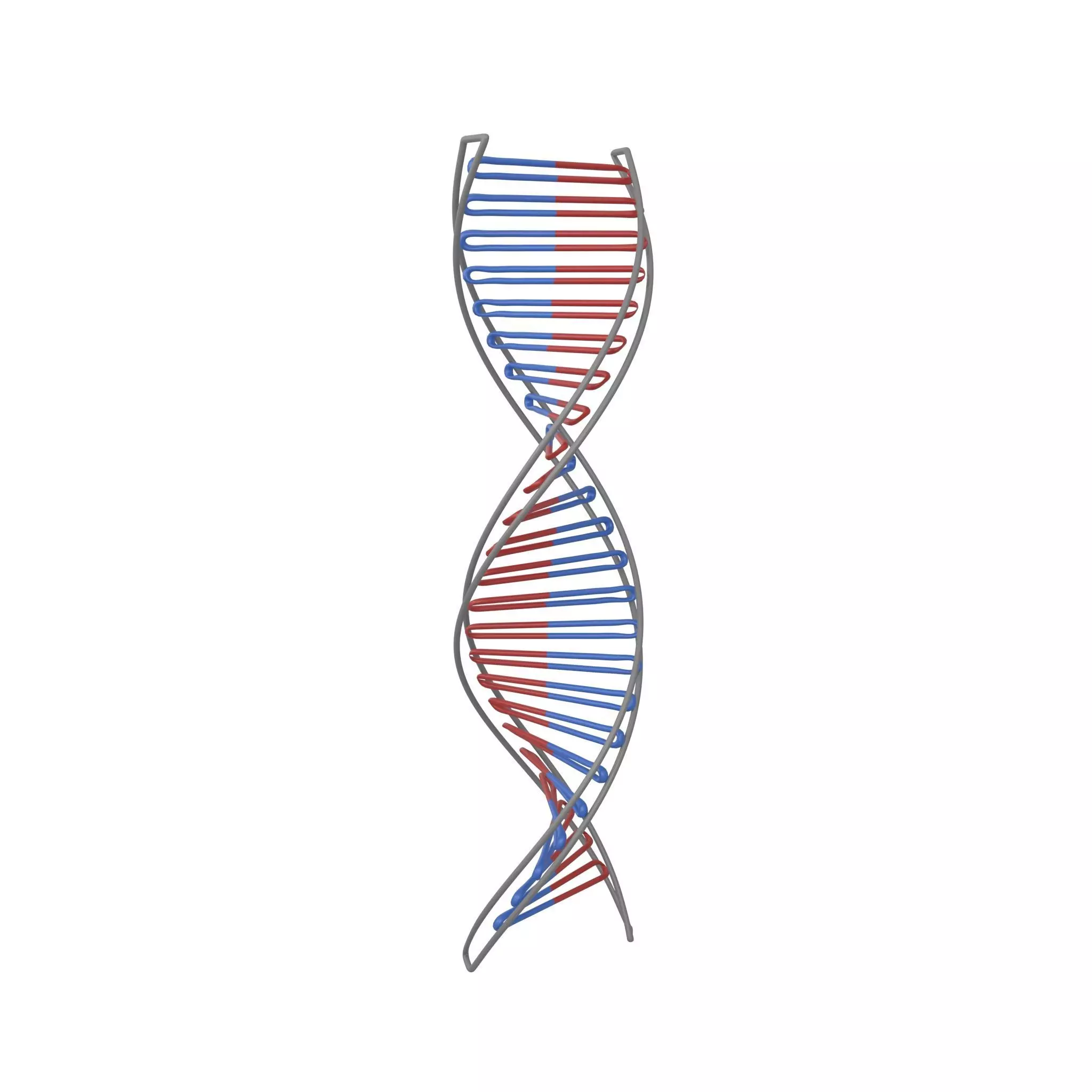 DNA Molecule v3 004 Low-poly 3D model_0