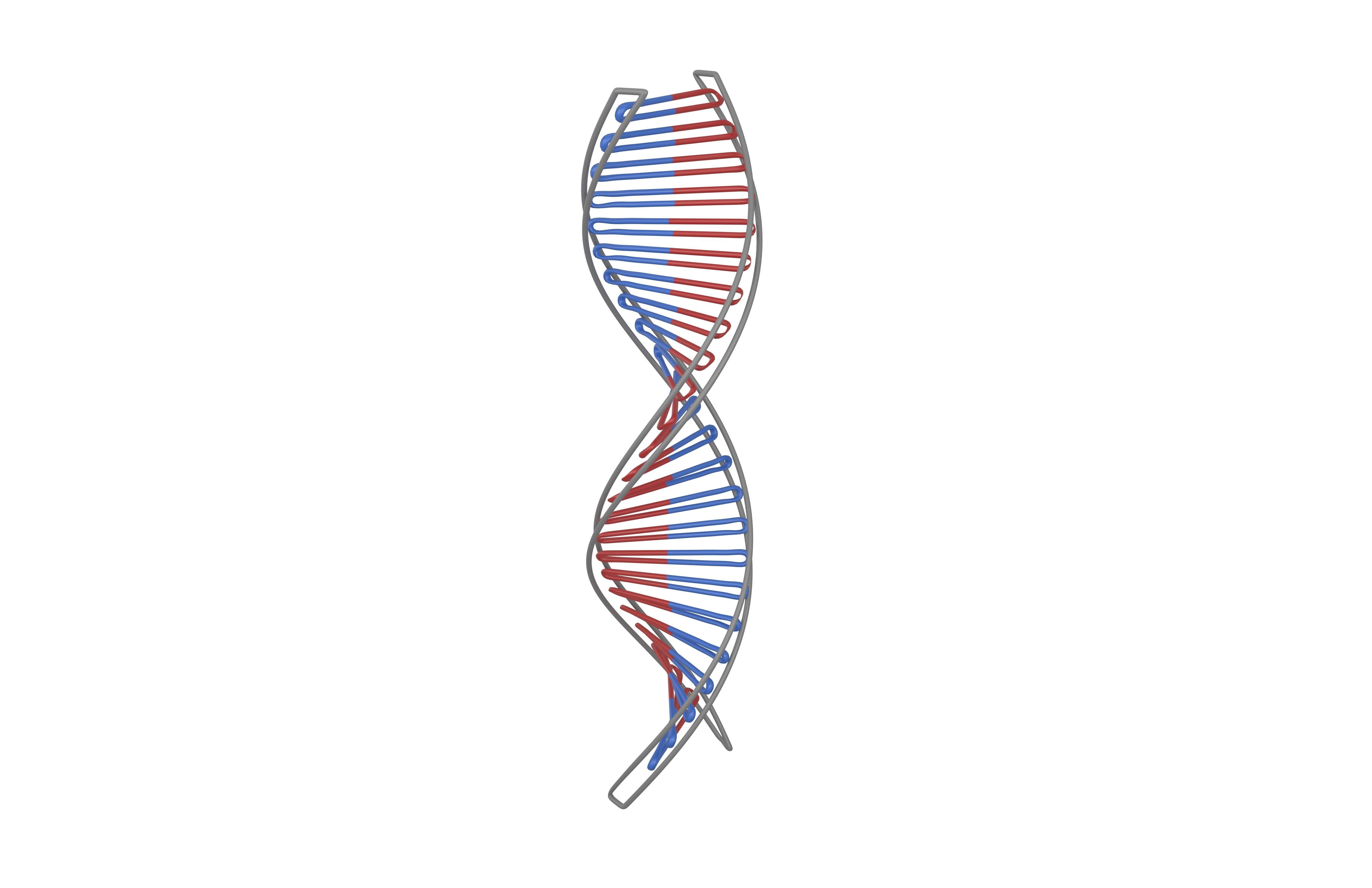 DNA Molecule v3 004 Low-poly 3D model_3