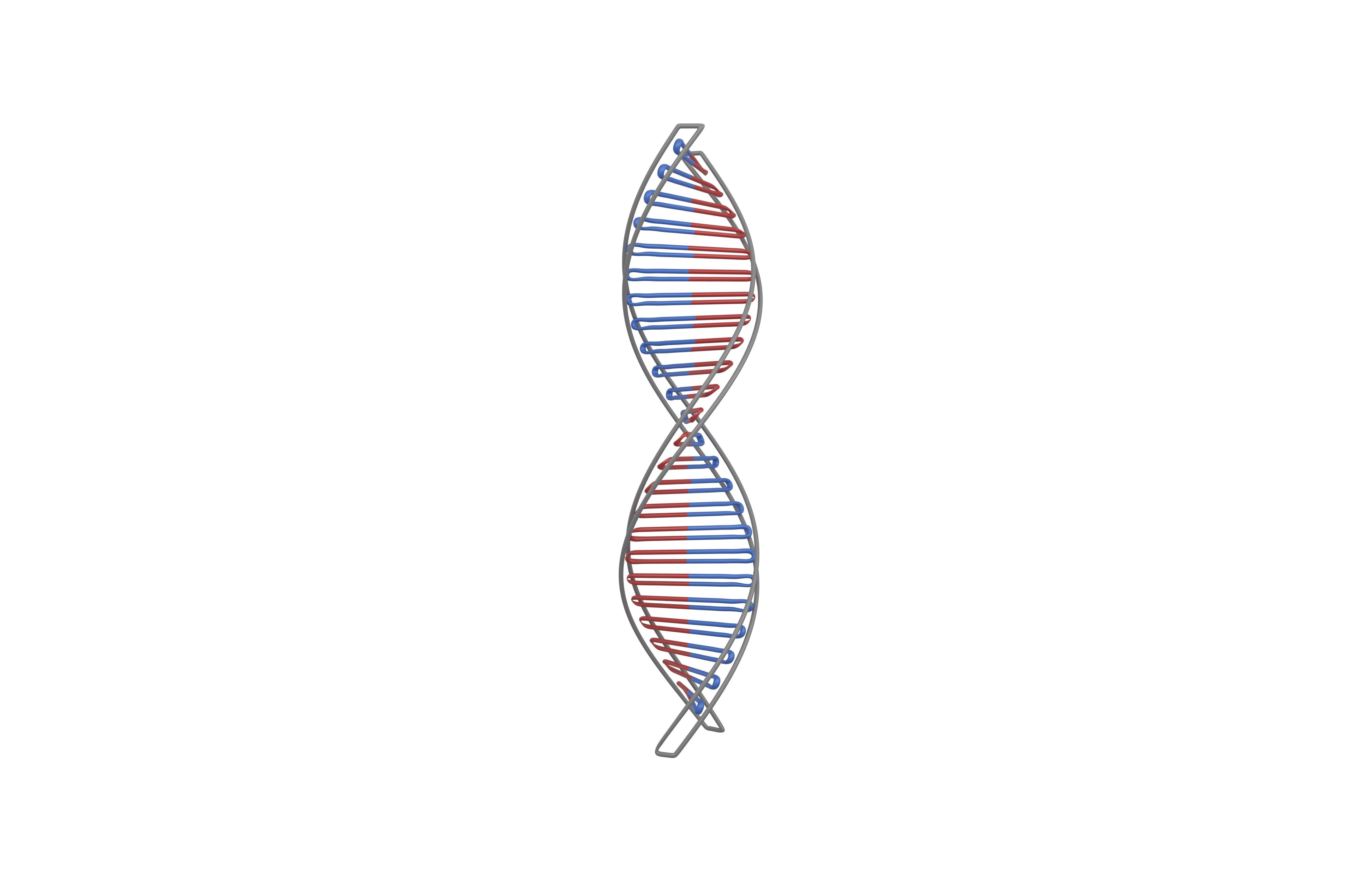 DNA Molecule v3 004 Low-poly 3D model_2